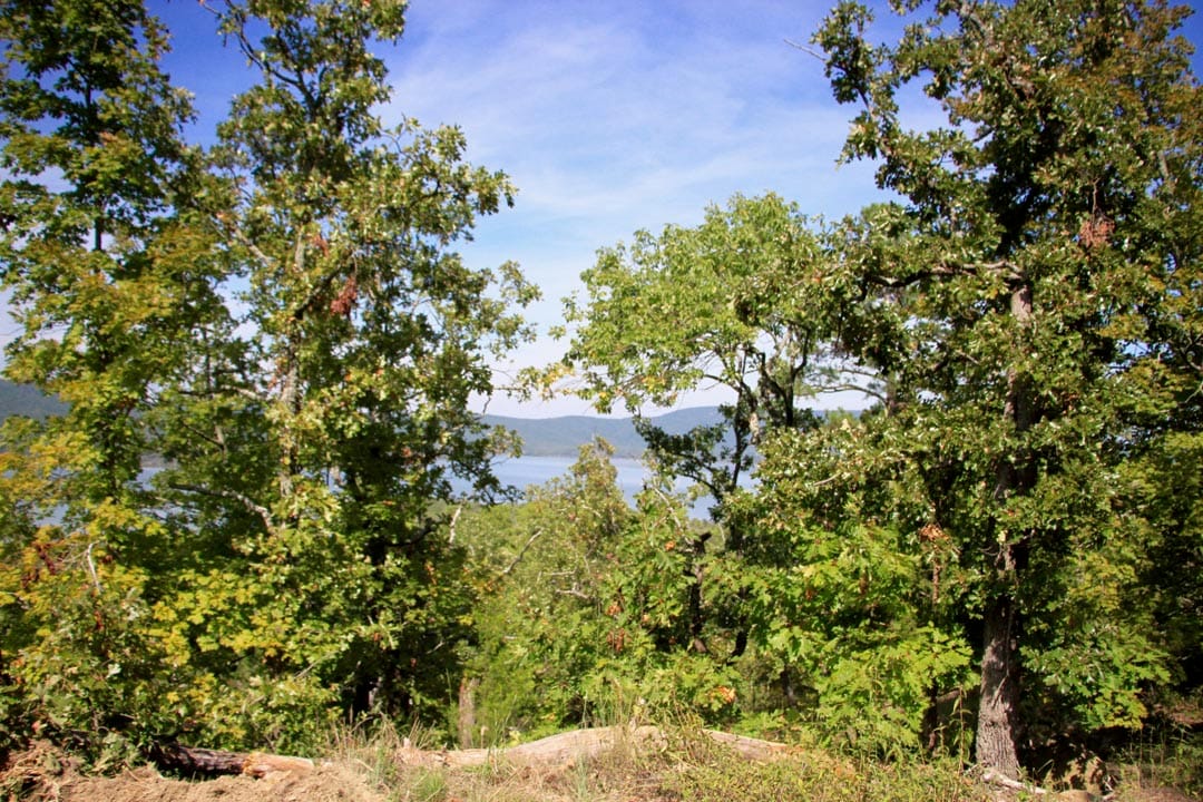Lakeview Private Reserve Tract 19 photo 7