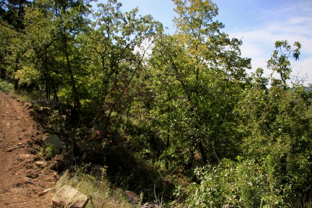 Lakeview Private Reserve Tract 19 photo 9