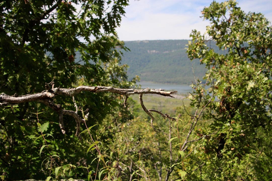 Lakeview Private Reserve Tract 19 photo 10