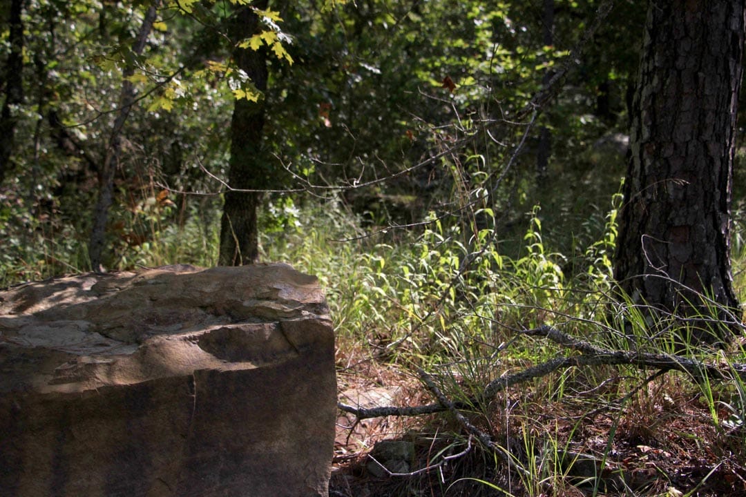 Lakeview Private Reserve Tract 19 photo 11