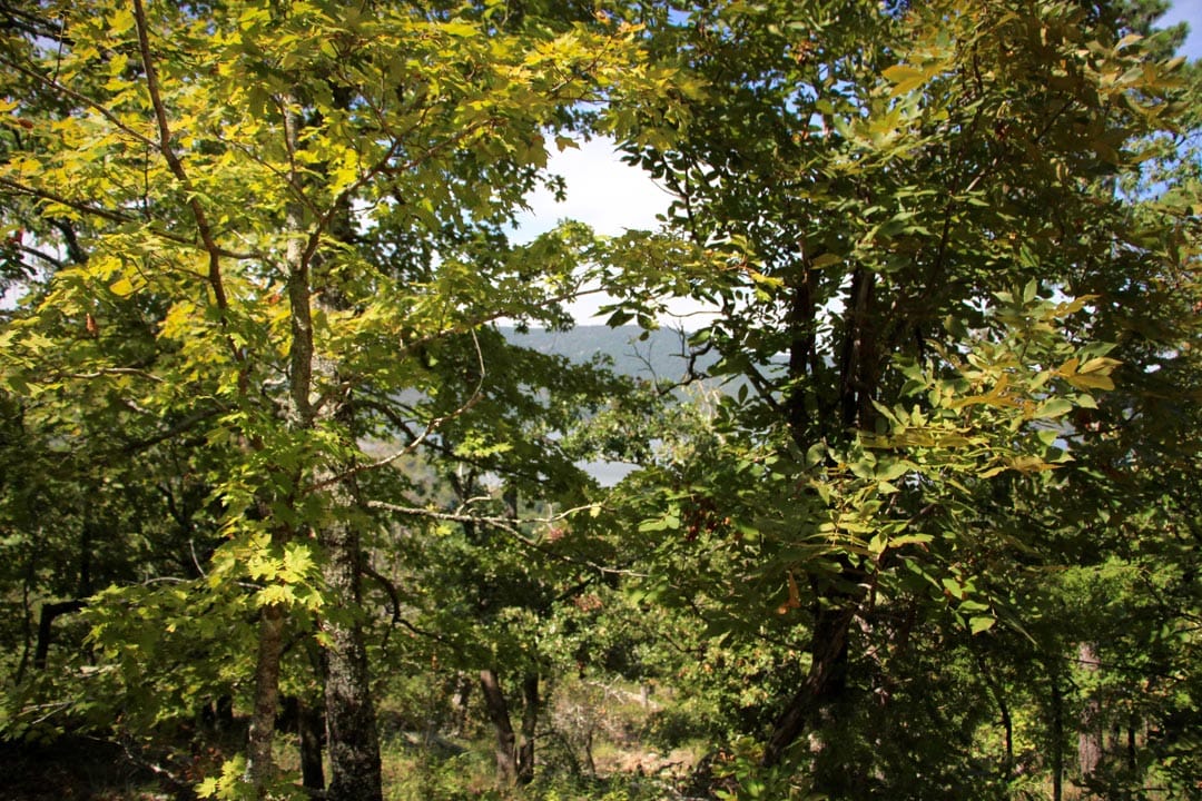 Lakeview Private Reserve Tract 19 photo 13