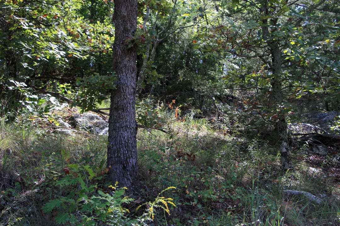 Lakeview Private Reserve Tract 19 photo 14