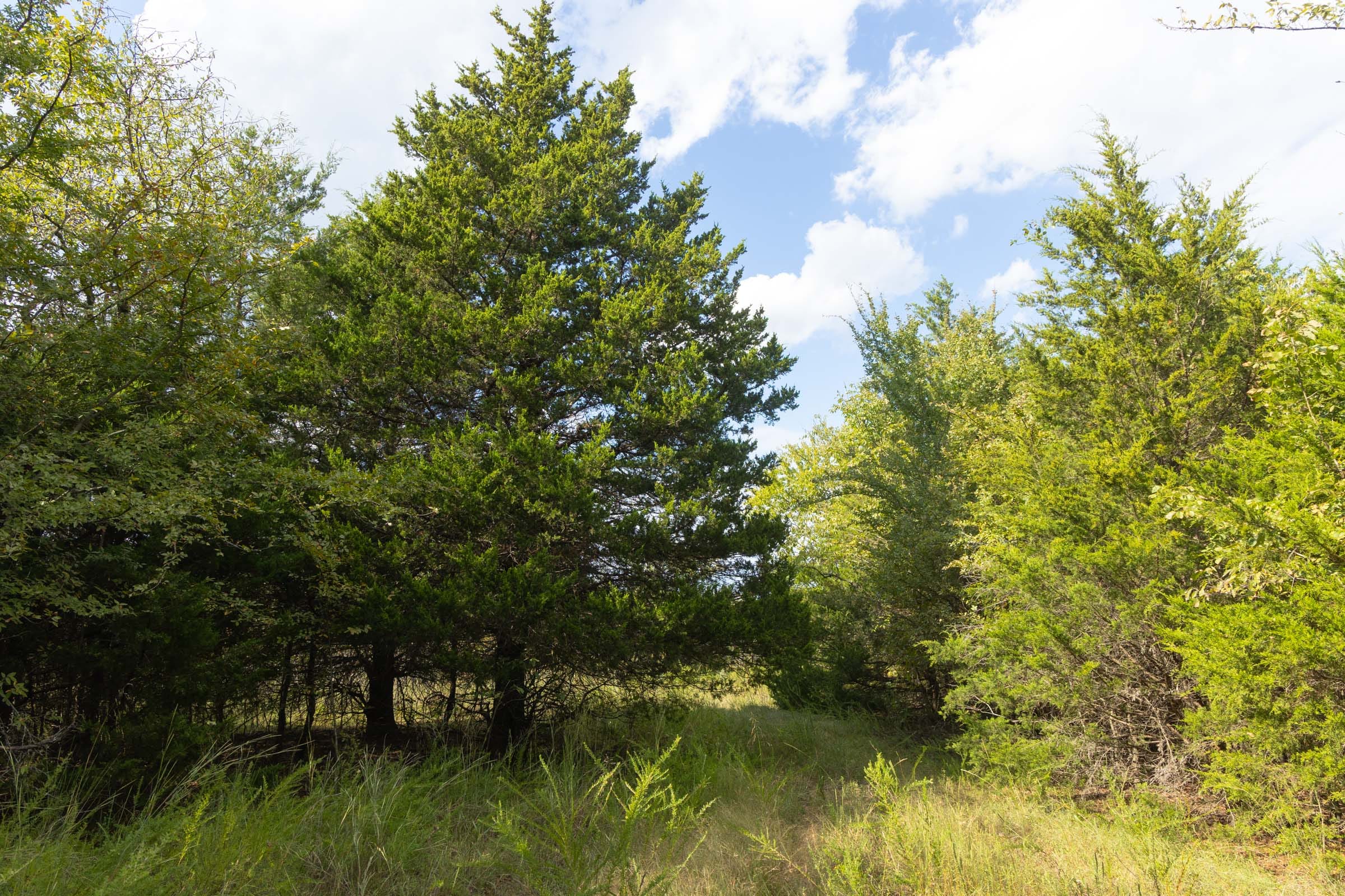 Reserves At Cattail Cove Phase II Tract 77 photo 12