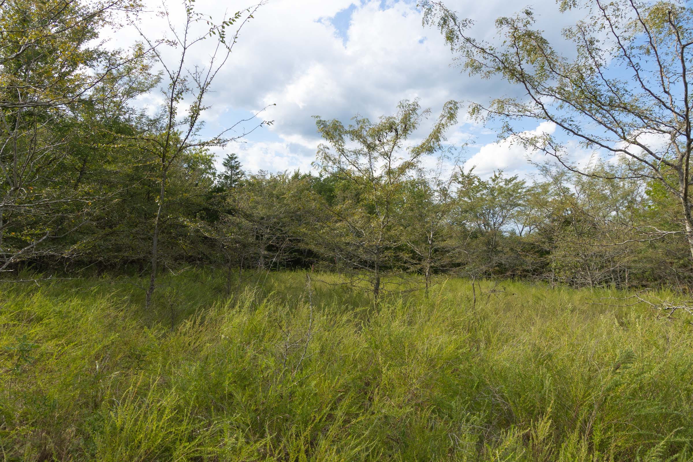 Reserves At Cattail Cove Phase II Tract 77 photo 4