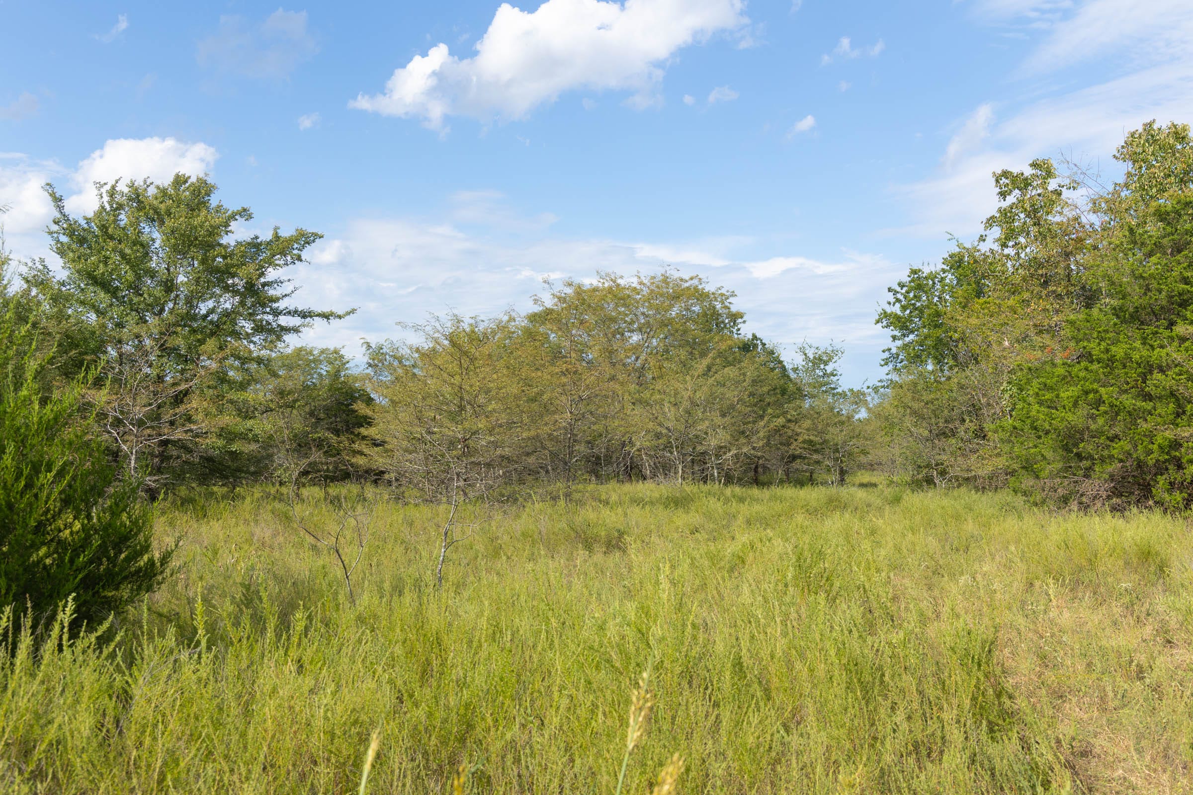 Reserves At Cattail Cove Phase II Tract 77 photo 10