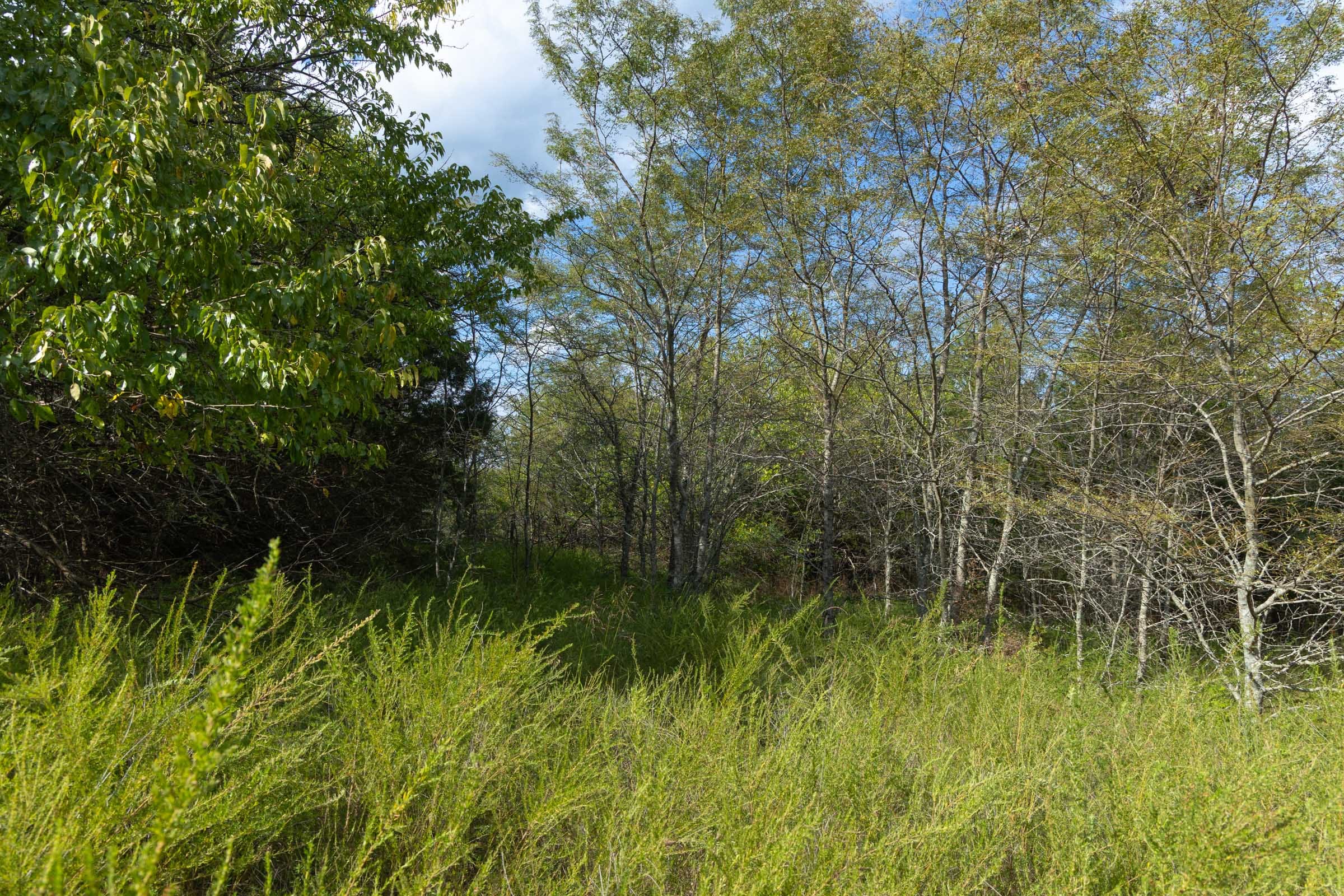 Reserves At Cattail Cove Phase II Tract 77 photo 9