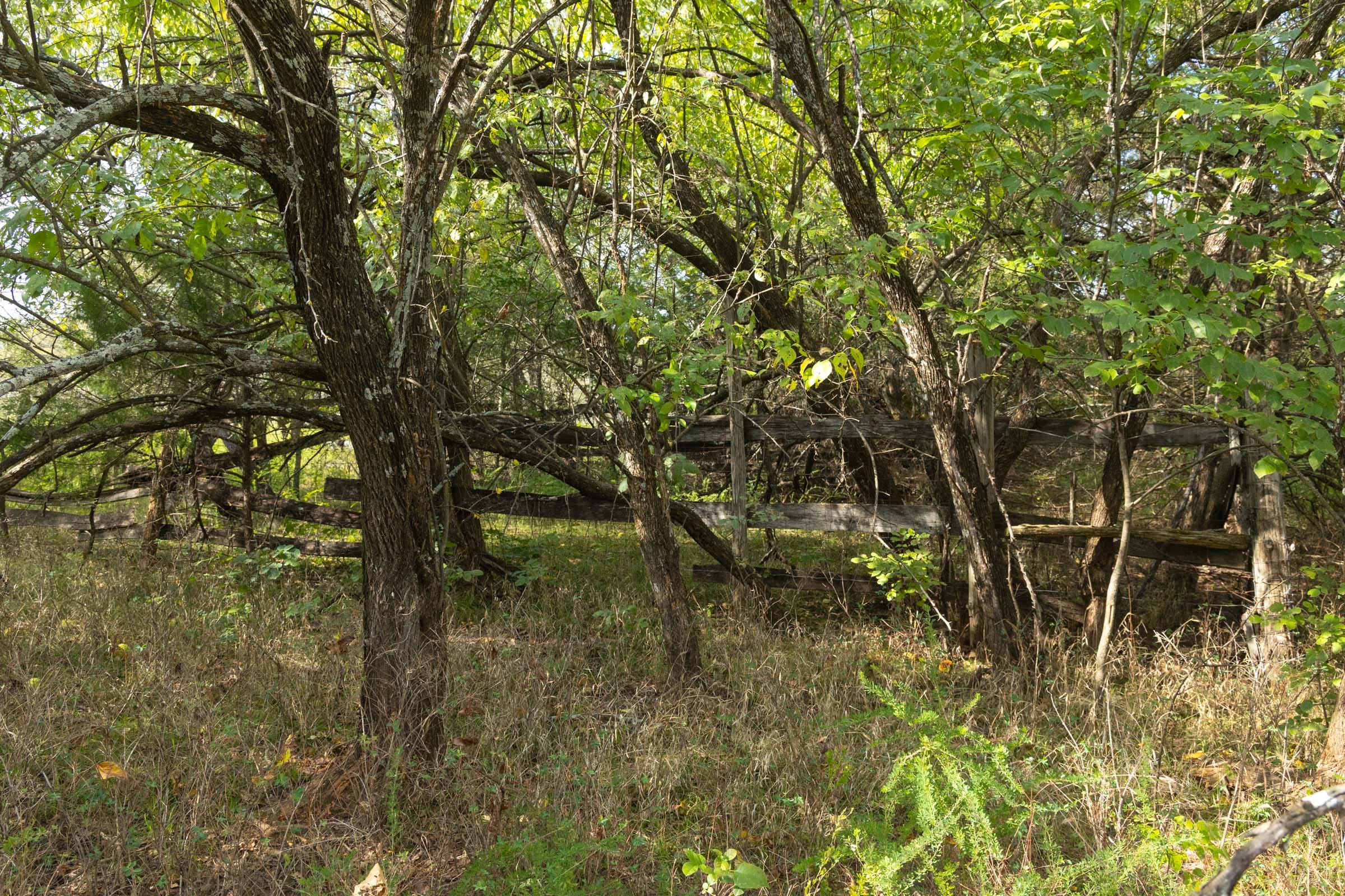 Reserves At Cattail Cove Phase II Tract 77 photo 8