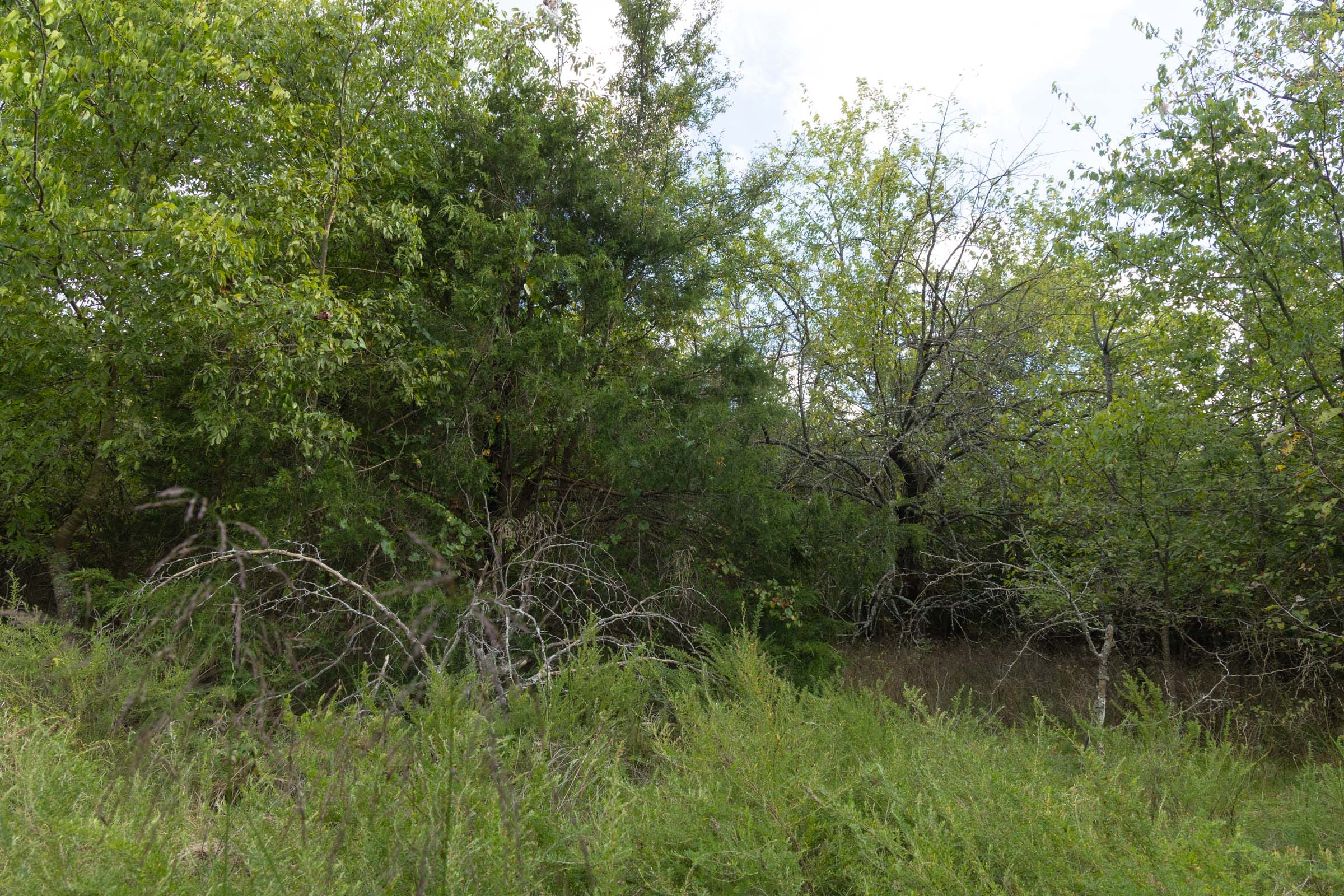 Reserves At Cattail Cove Phase II Tract 77 photo 7