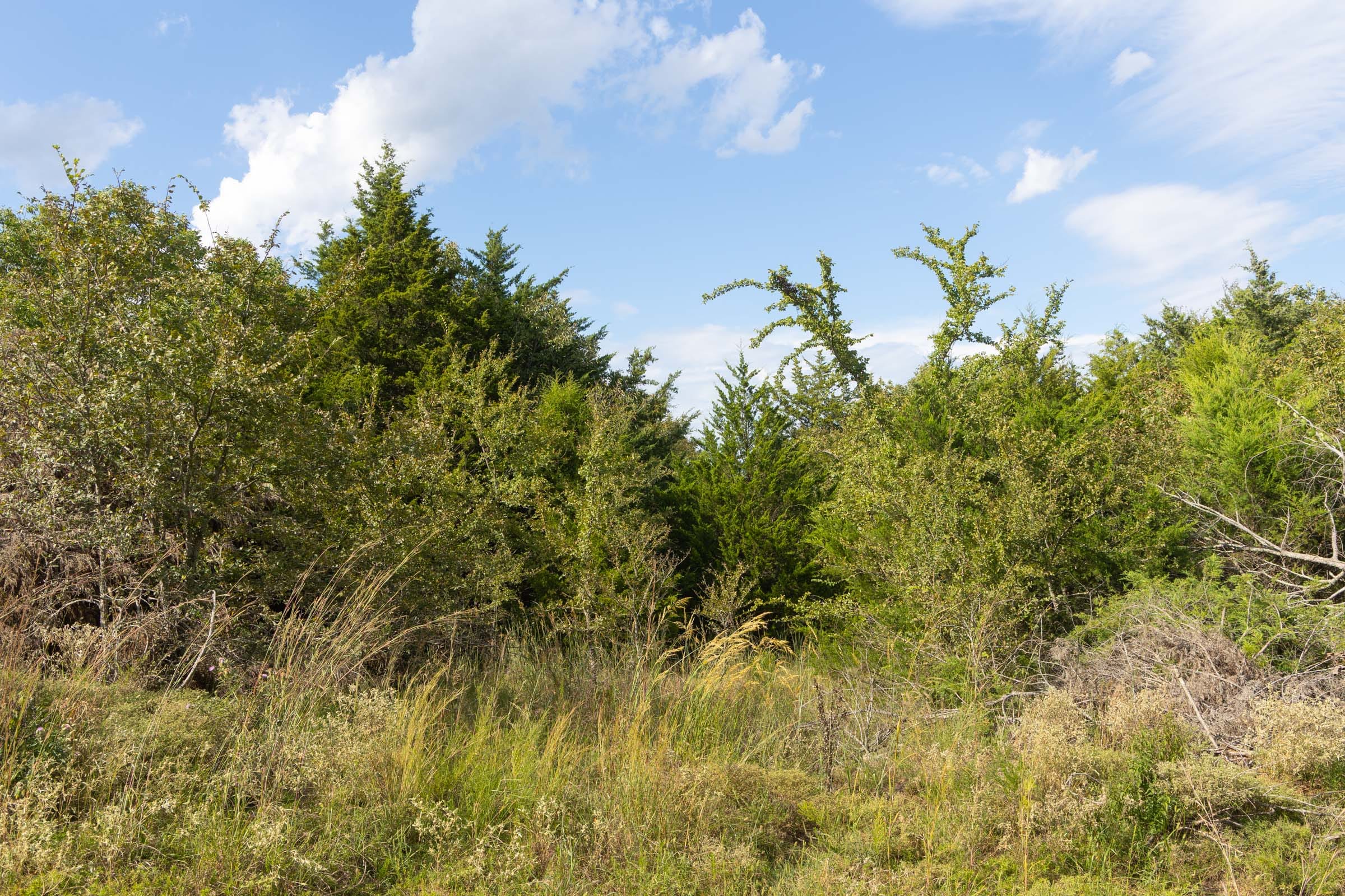 Reserves At Cattail Cove Phase II Tract 77 photo 6