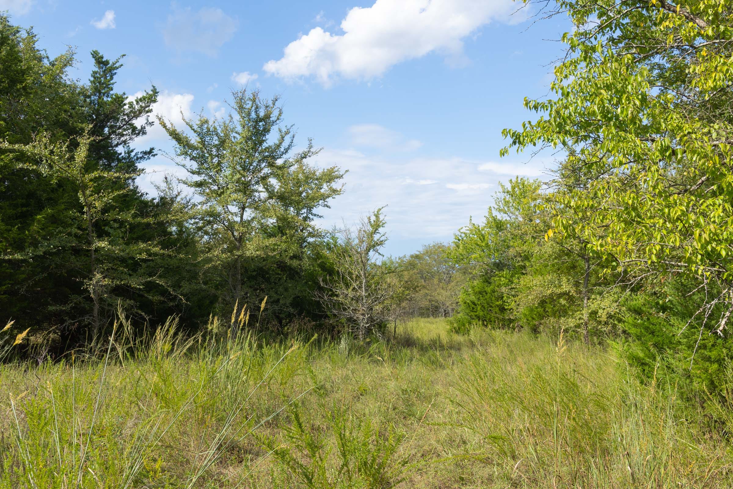 Reserves At Cattail Cove photo 18