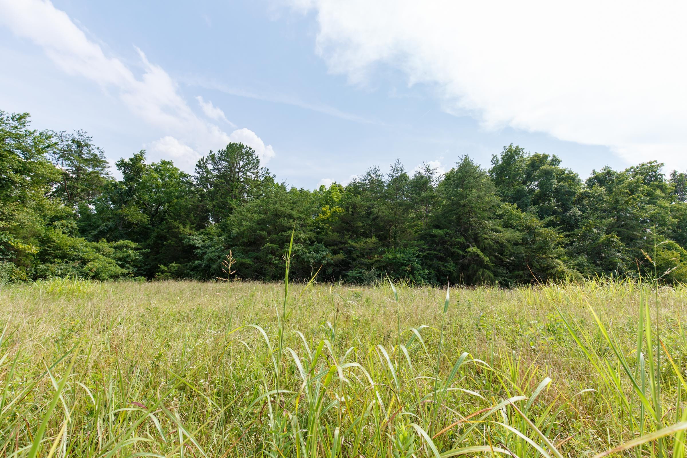 Rolling Hills Tract 33 photo 2
