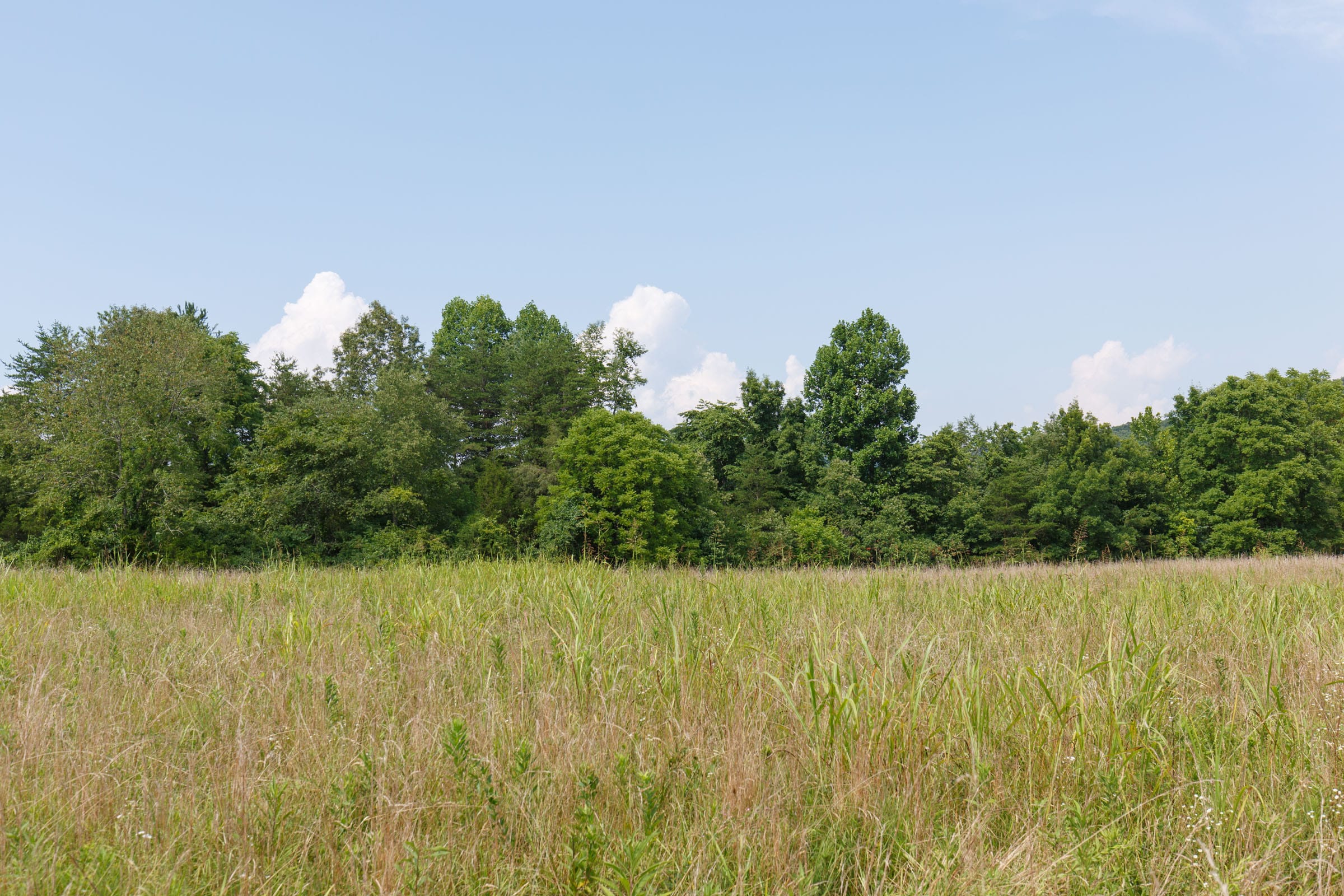 Rolling Hills Tract 33 photo 3