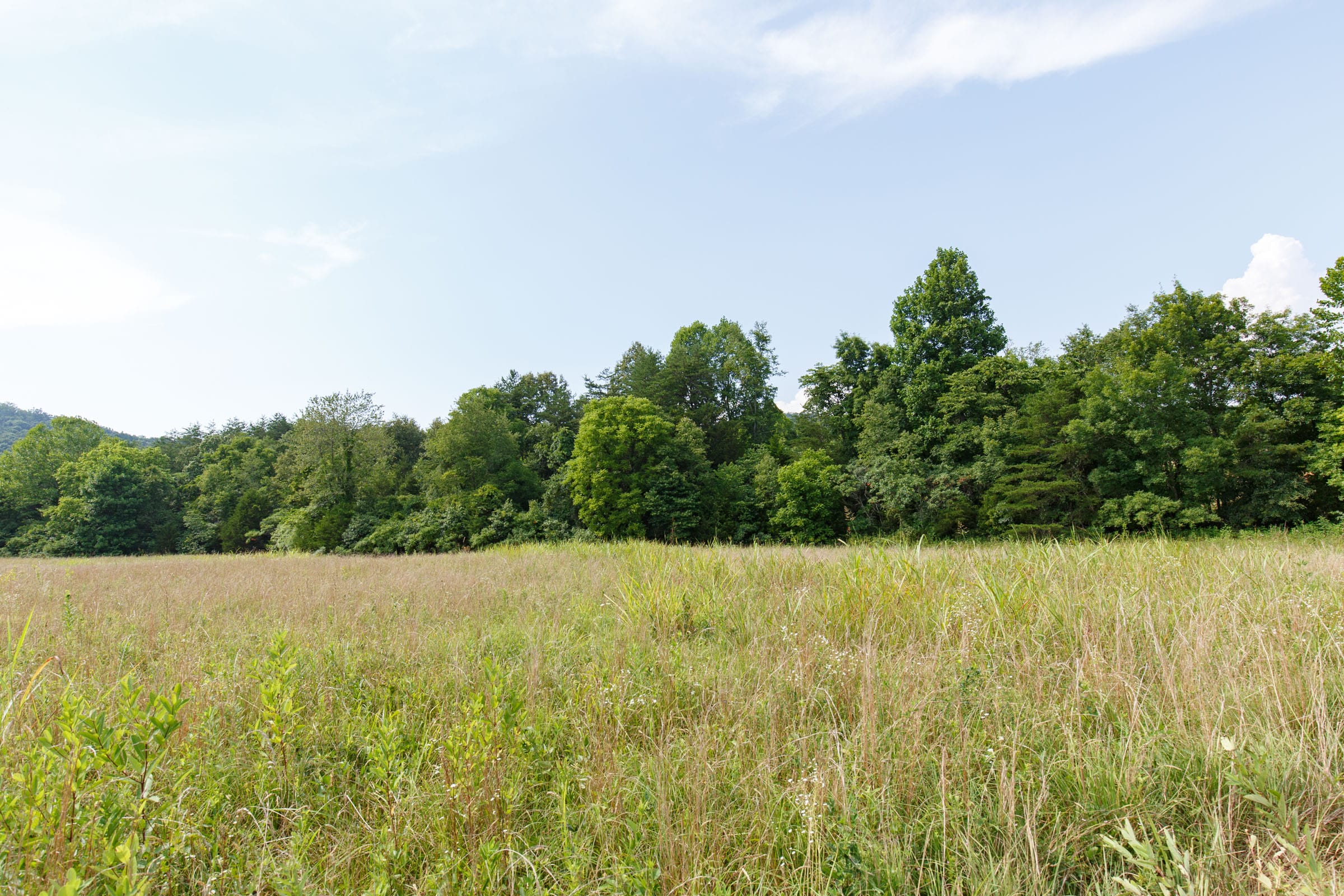 Rolling Hills Tract 33 photo 7