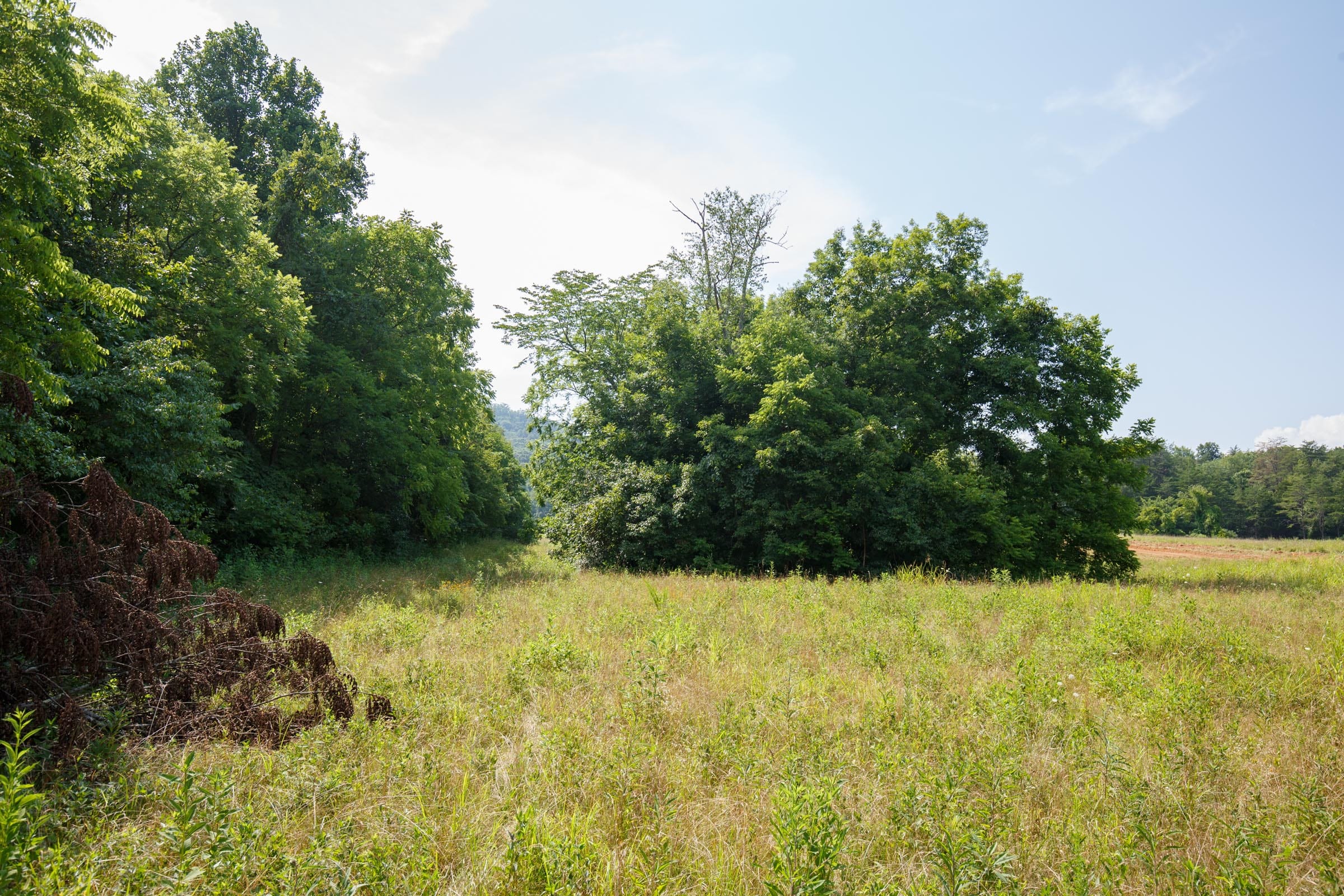 Rolling Hills Tract 33 photo 8