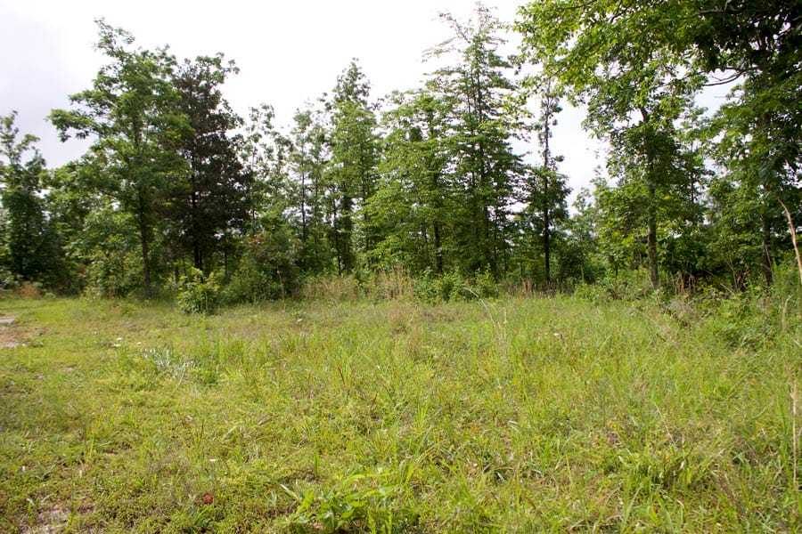 Thunder Mountain Ranch Tract 16 photo 1