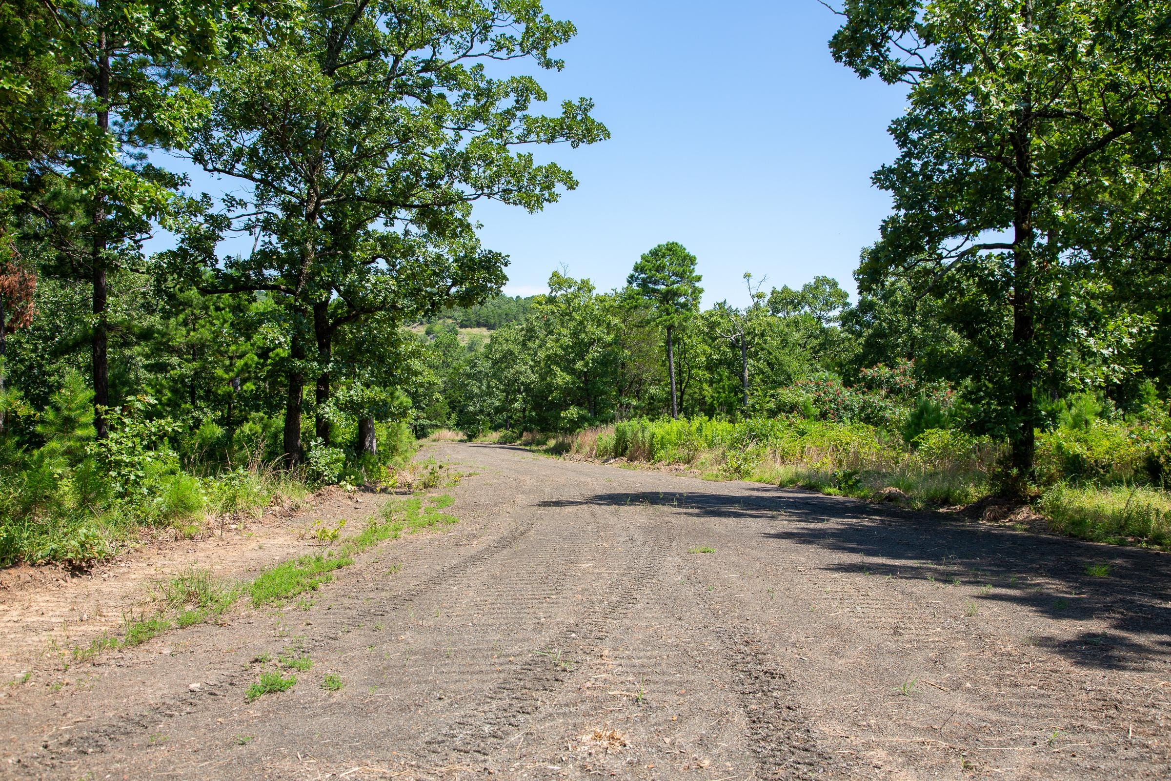Tyler Stone Ranch Tract 40 photo 5