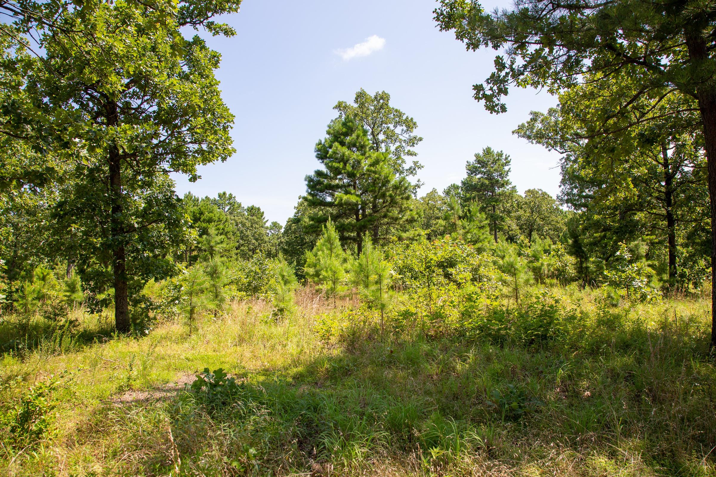 Tyler Stone Ranch Tract 40 photo 3