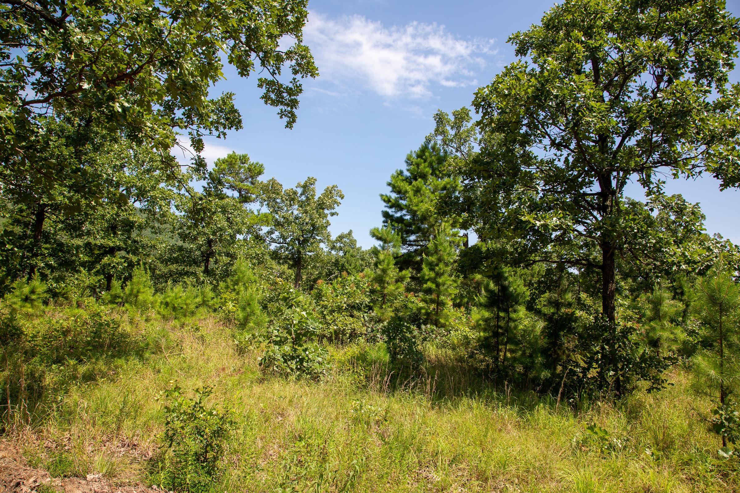 Tyler Stone Ranch Tract 40 photo 1