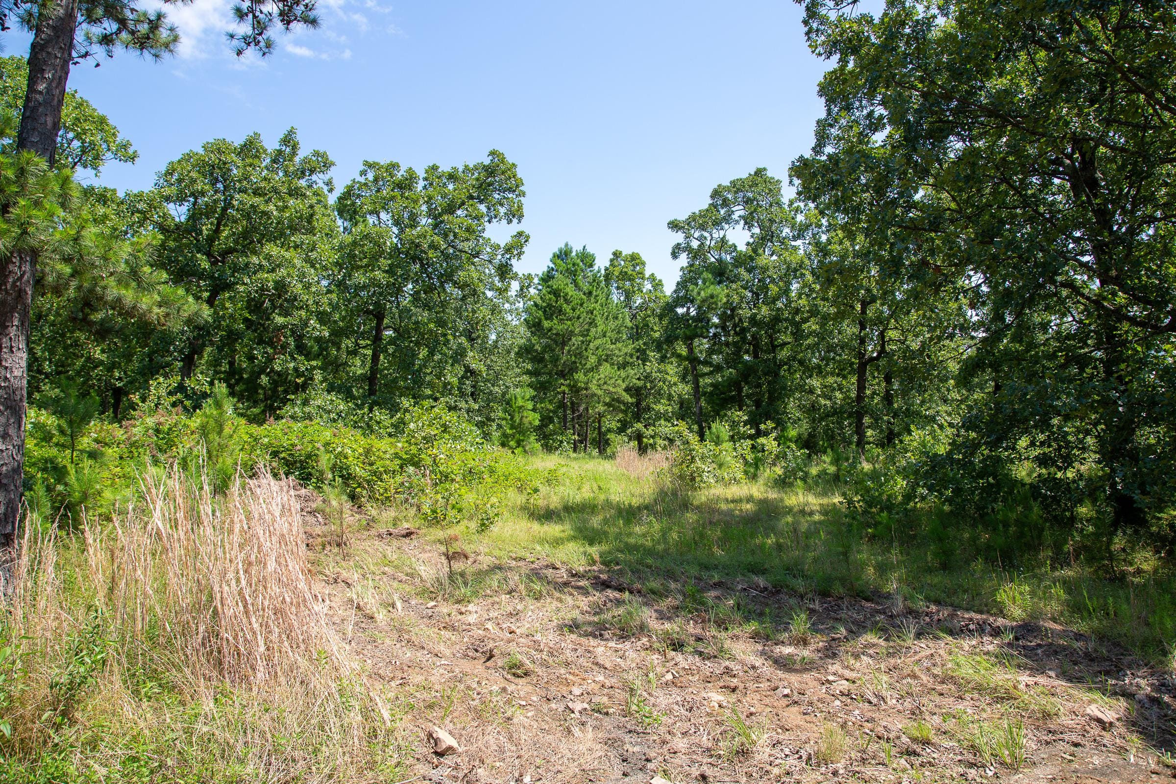 Tyler Stone Ranch Tract 40 photo 6