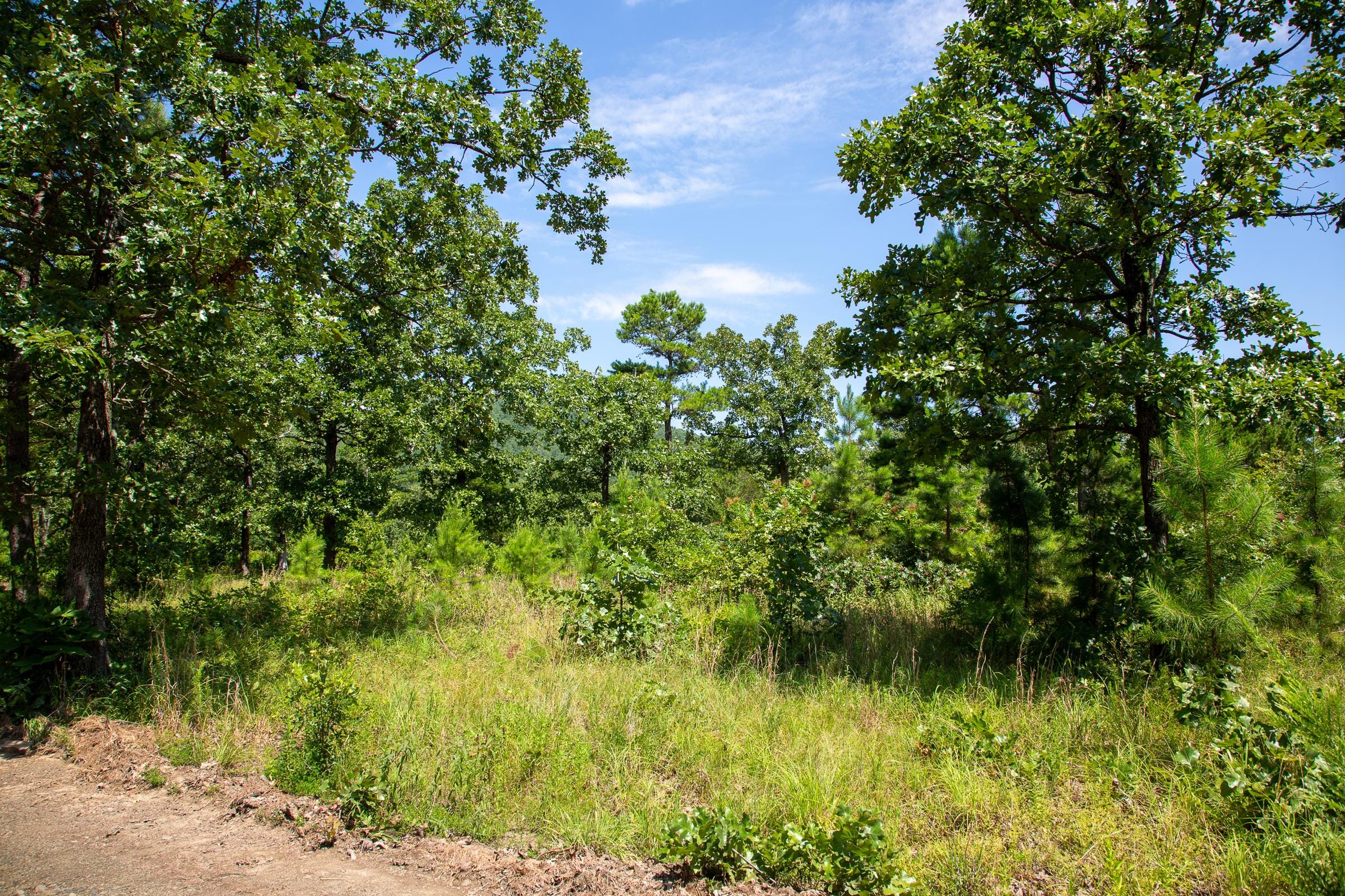 Tyler Stone Ranch Tract 40 photo 8