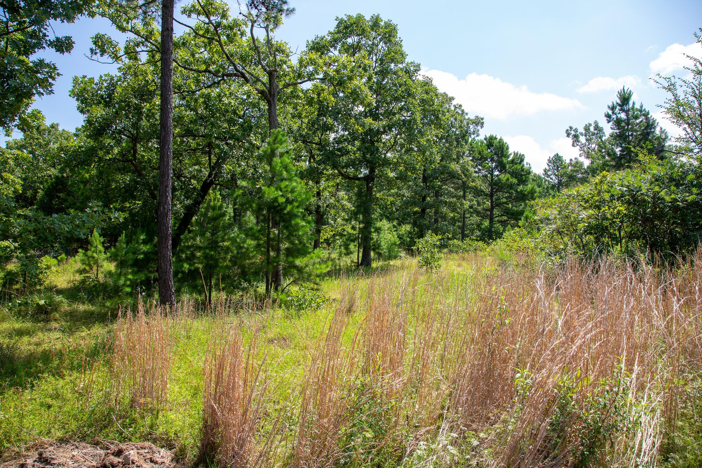 Tyler Stone Ranch Tract 40 photo 11