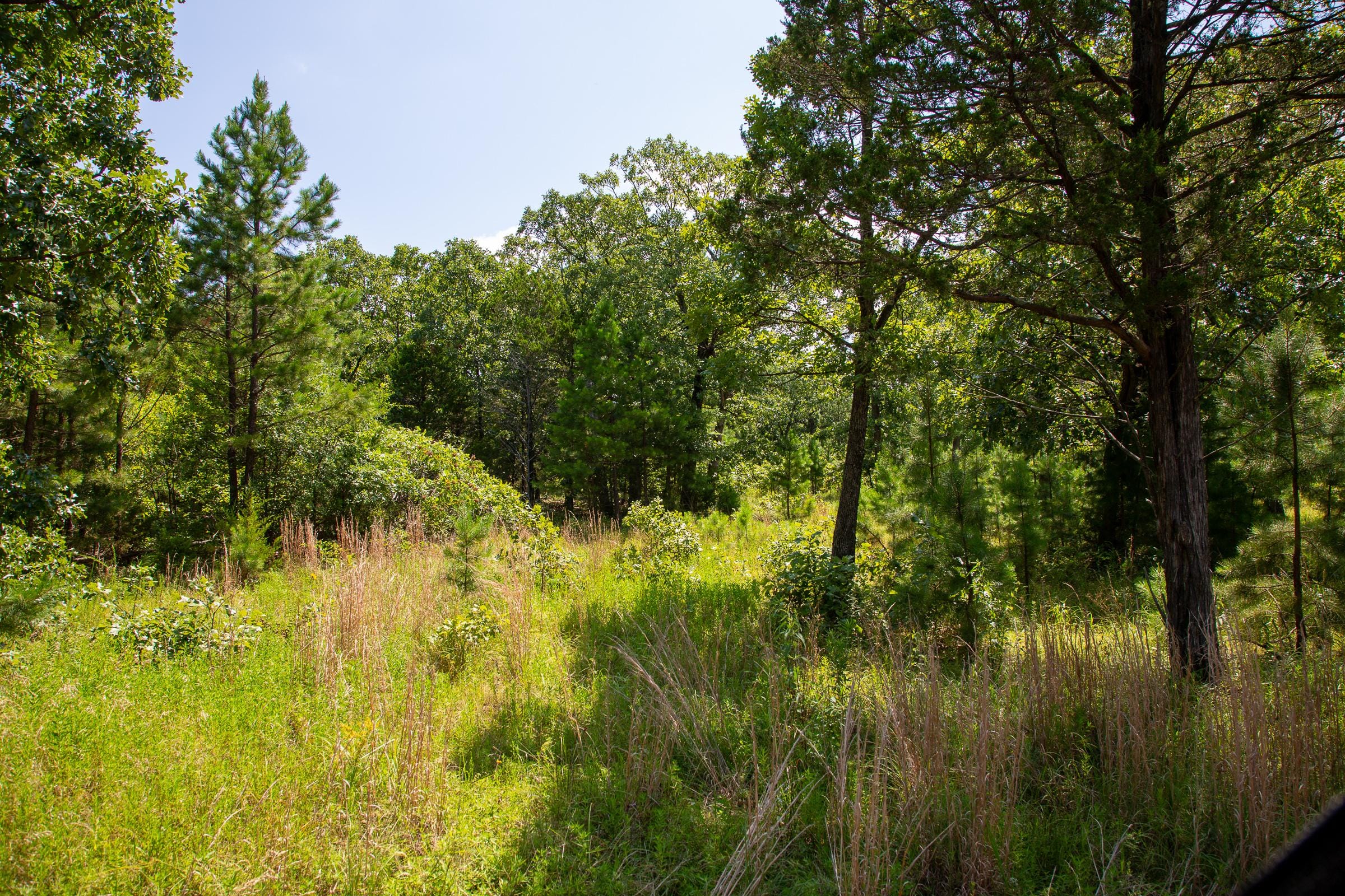 Tyler Stone Ranch Tract 40 photo 12