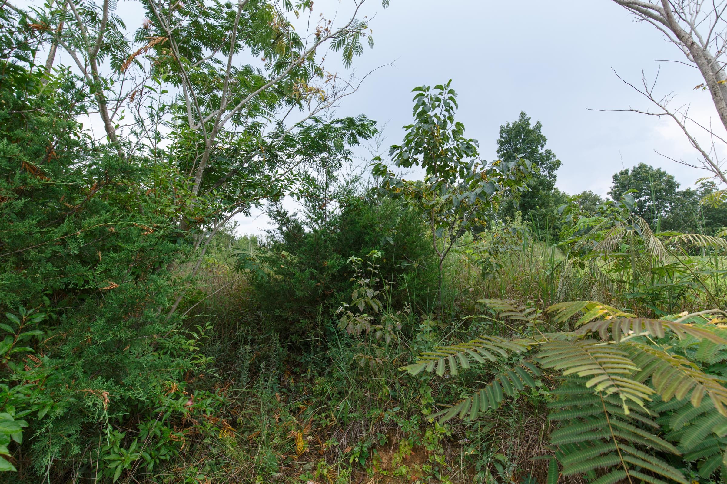 Spring Lake Plat 5 Tract 119 photo 4