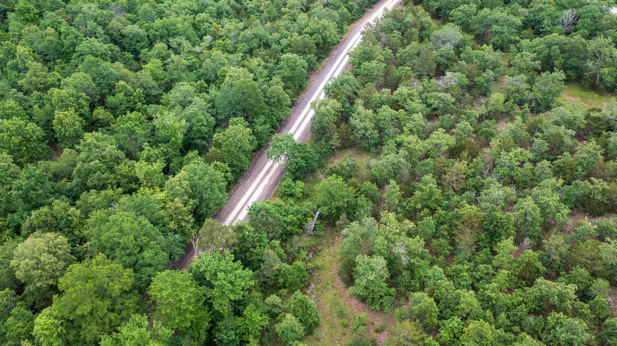 Falcon Crest Tract 1 photo 7