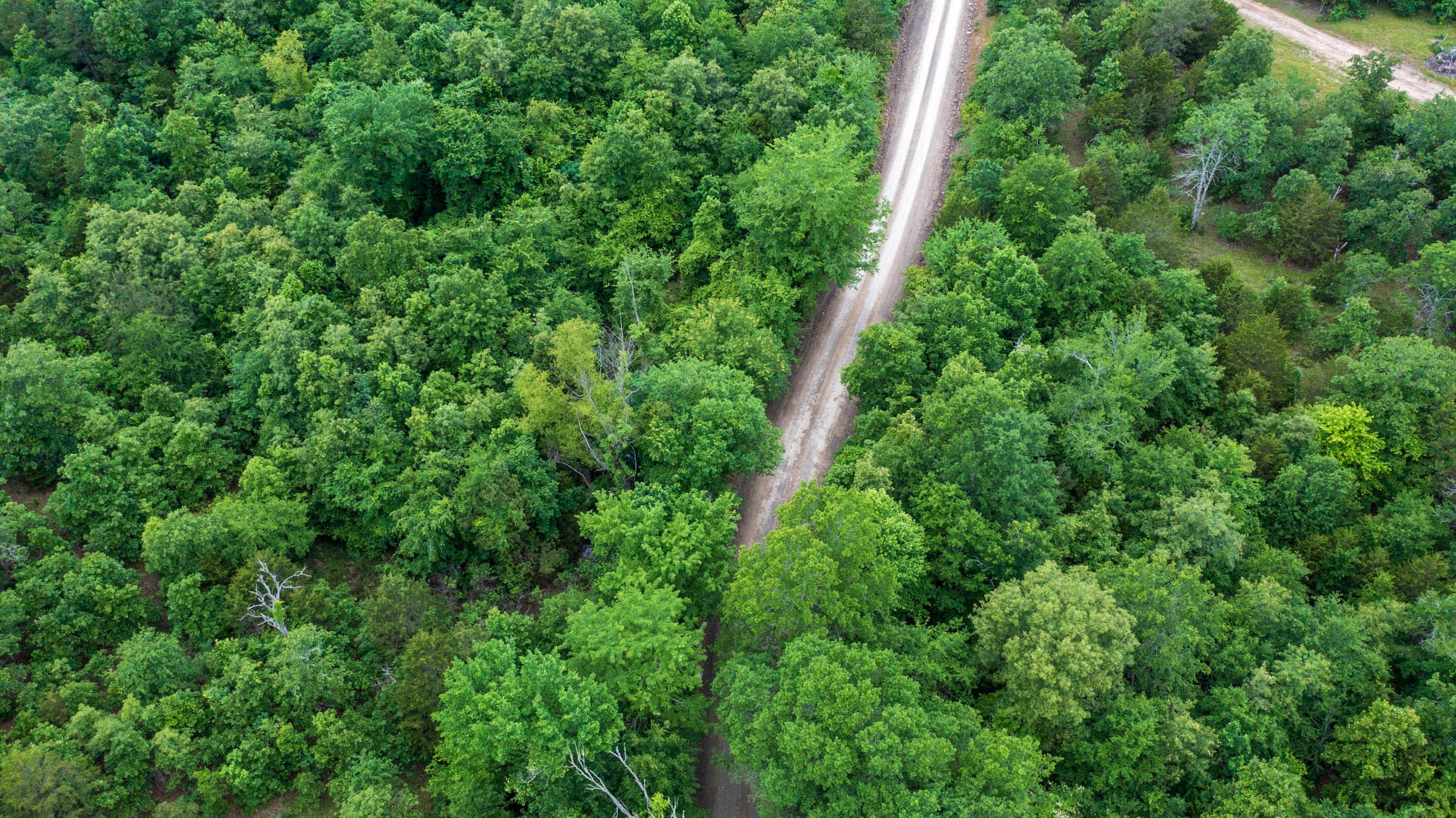 Falcon Crest Tract 1 photo 9