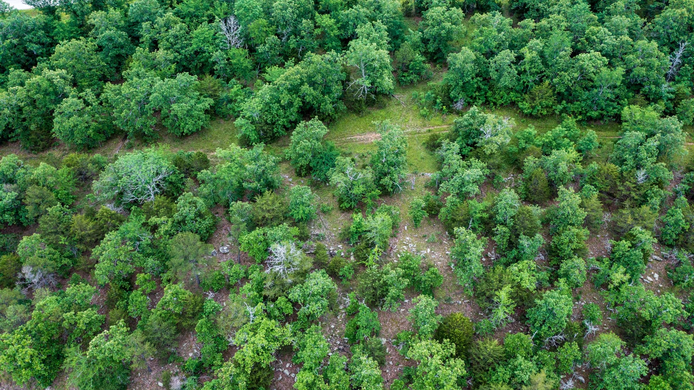 Falcon Crest Tract 1 photo 10
