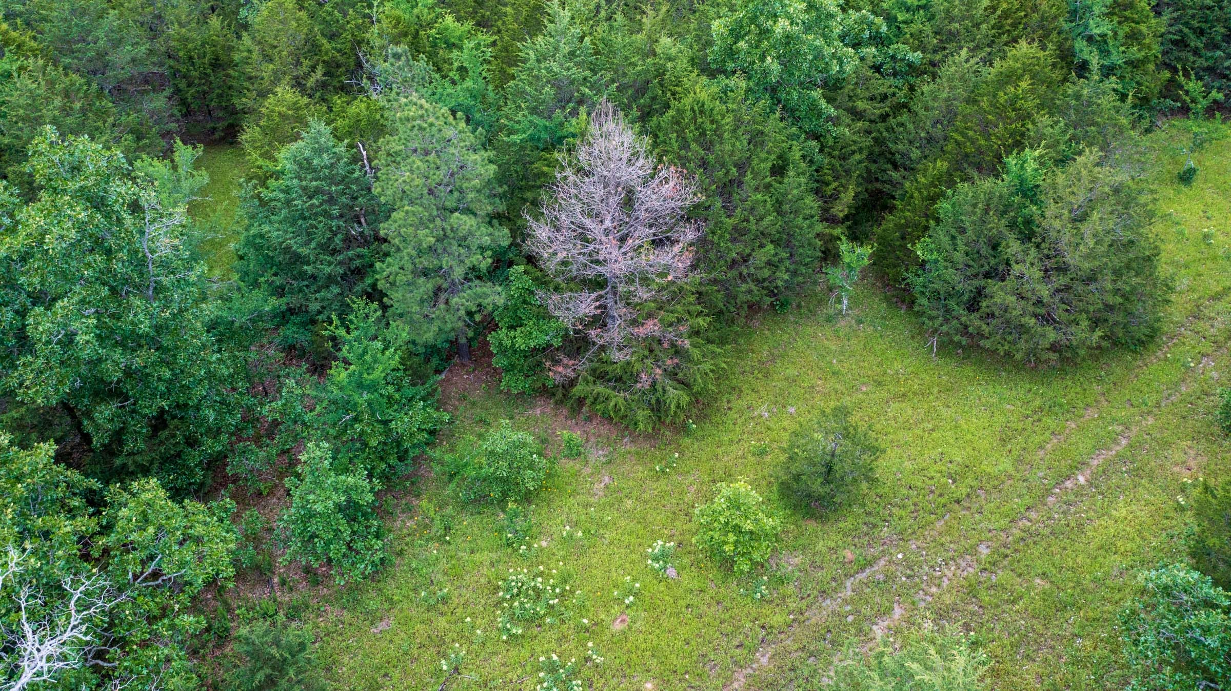 Falcon Crest Tract 1 photo 12