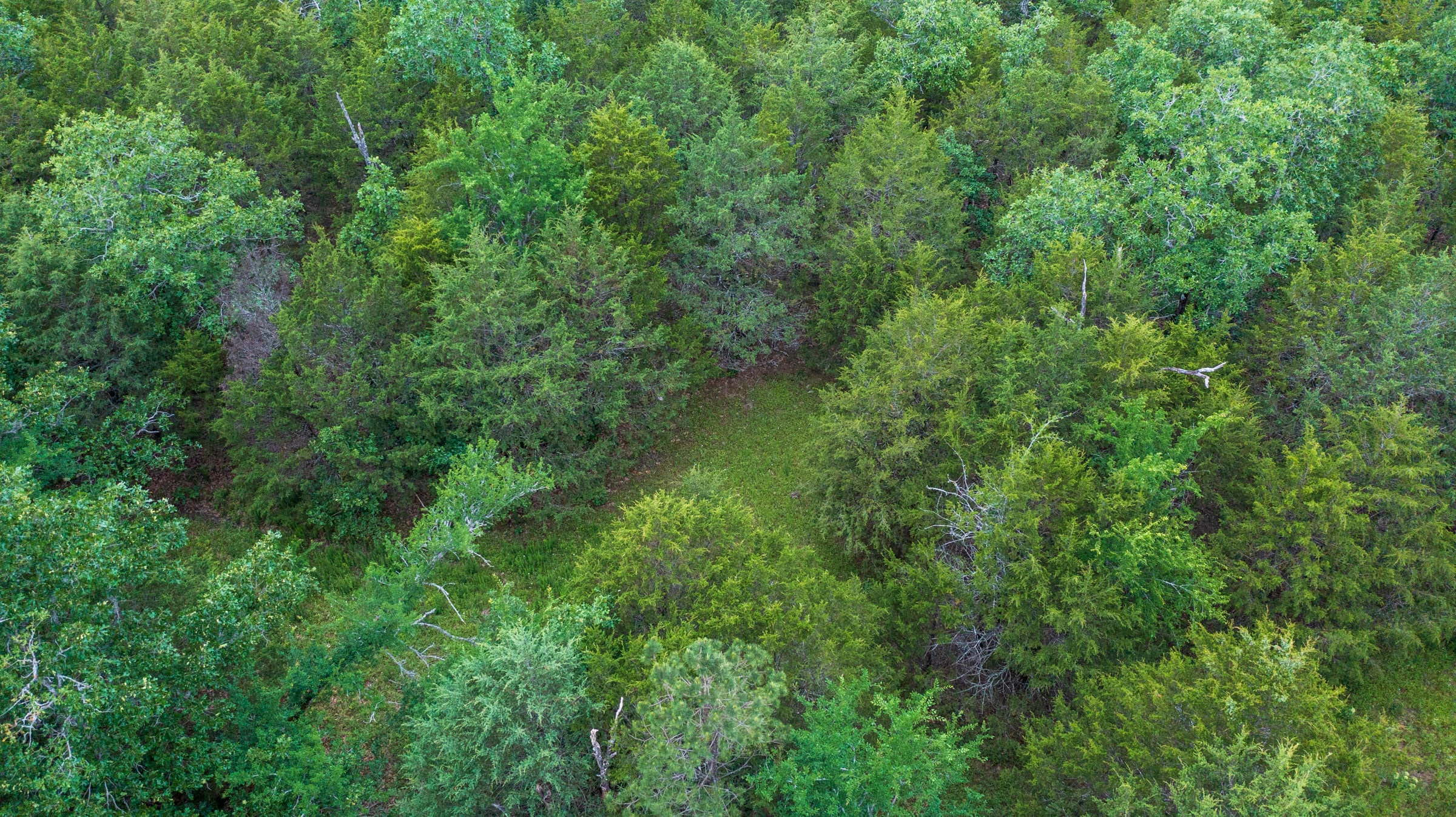 Falcon Crest Tract 1 photo 13