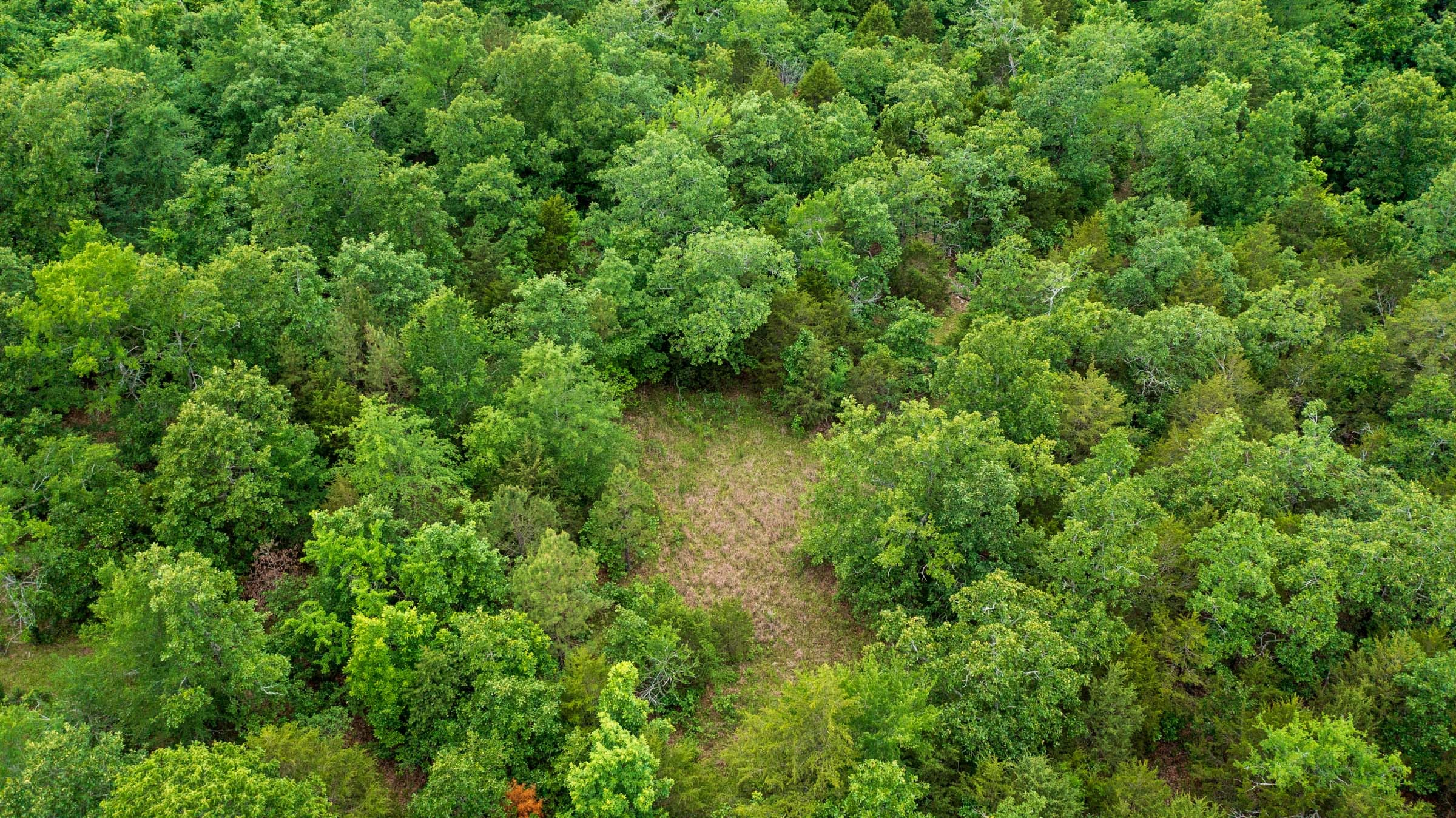 Falcon Crest Tract 1 photo 14