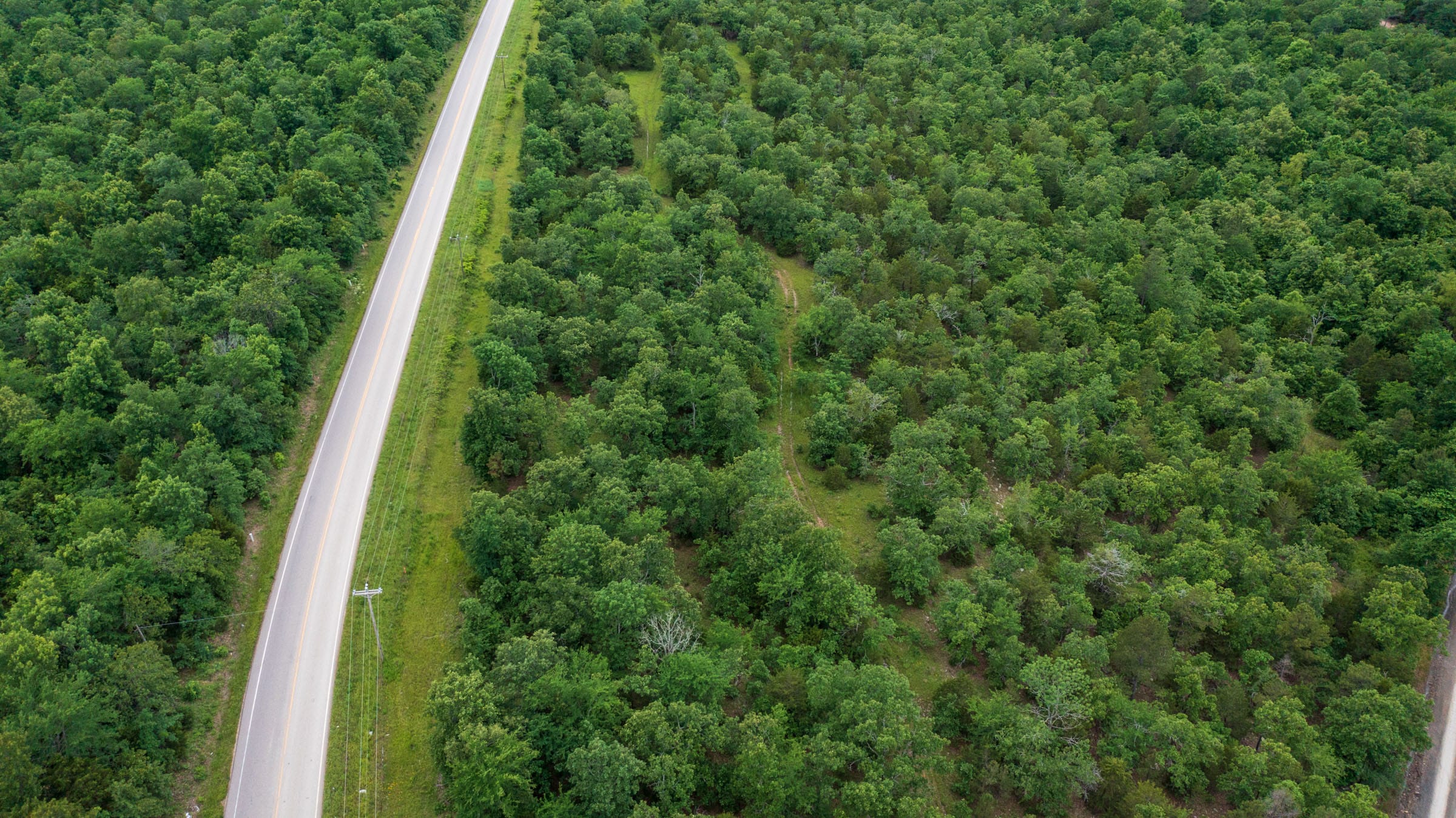 Falcon Crest Tract 1 photo 17