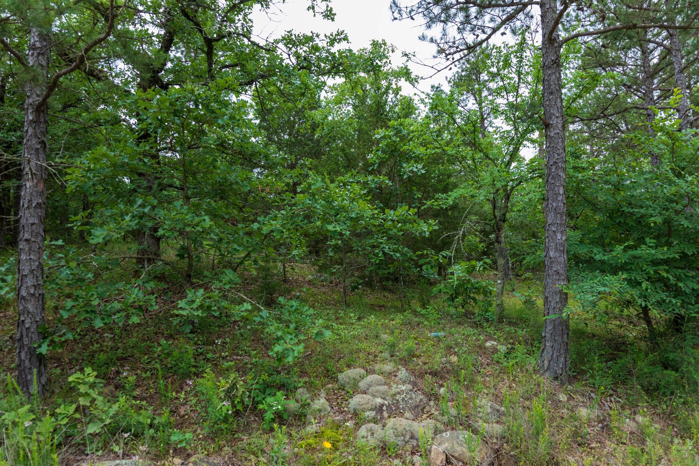 Falcon Crest Tract 1 photo 19