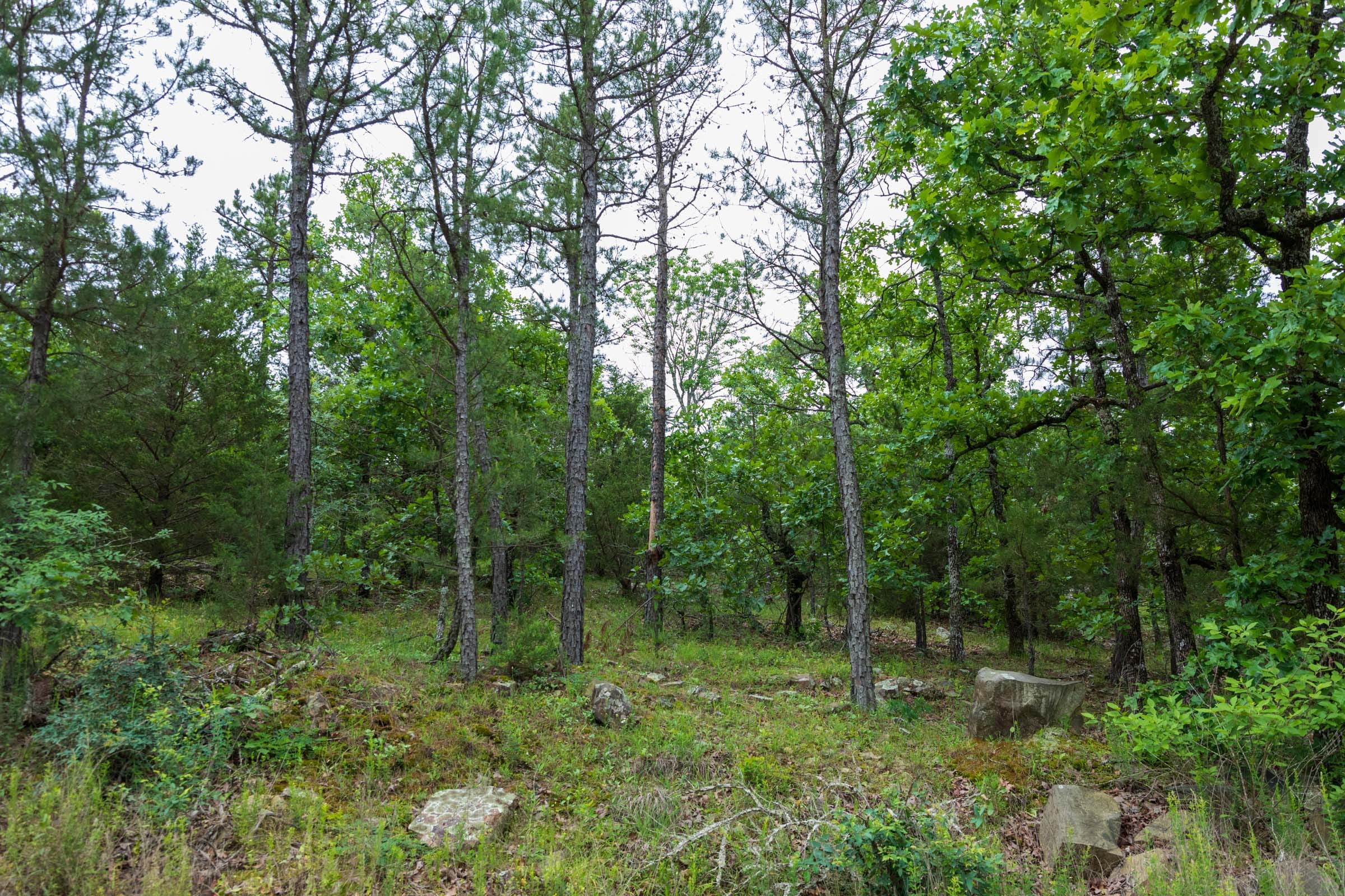 Falcon Crest Tract 1 photo 20