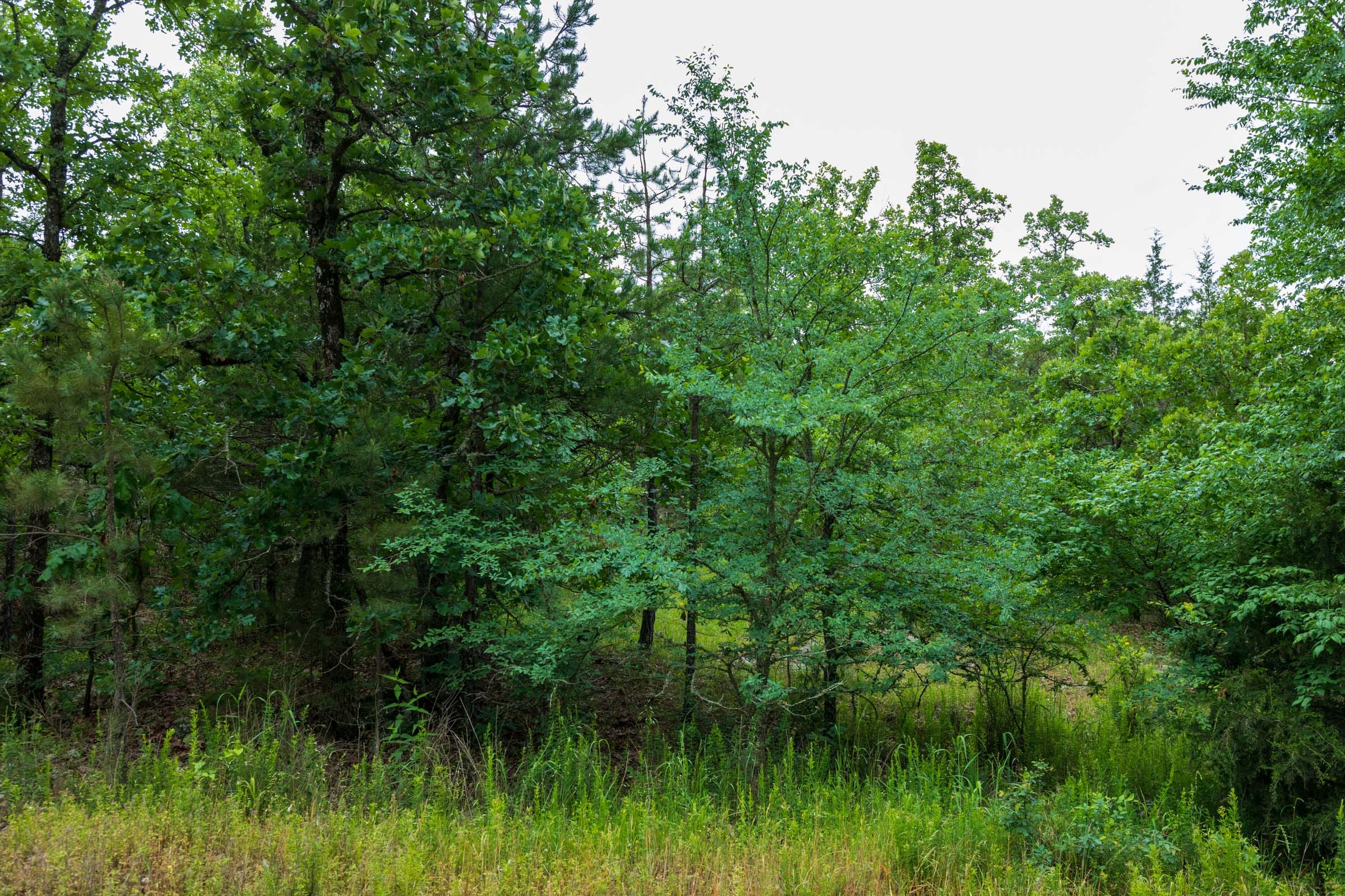 Falcon Crest Tract 1 photo 21