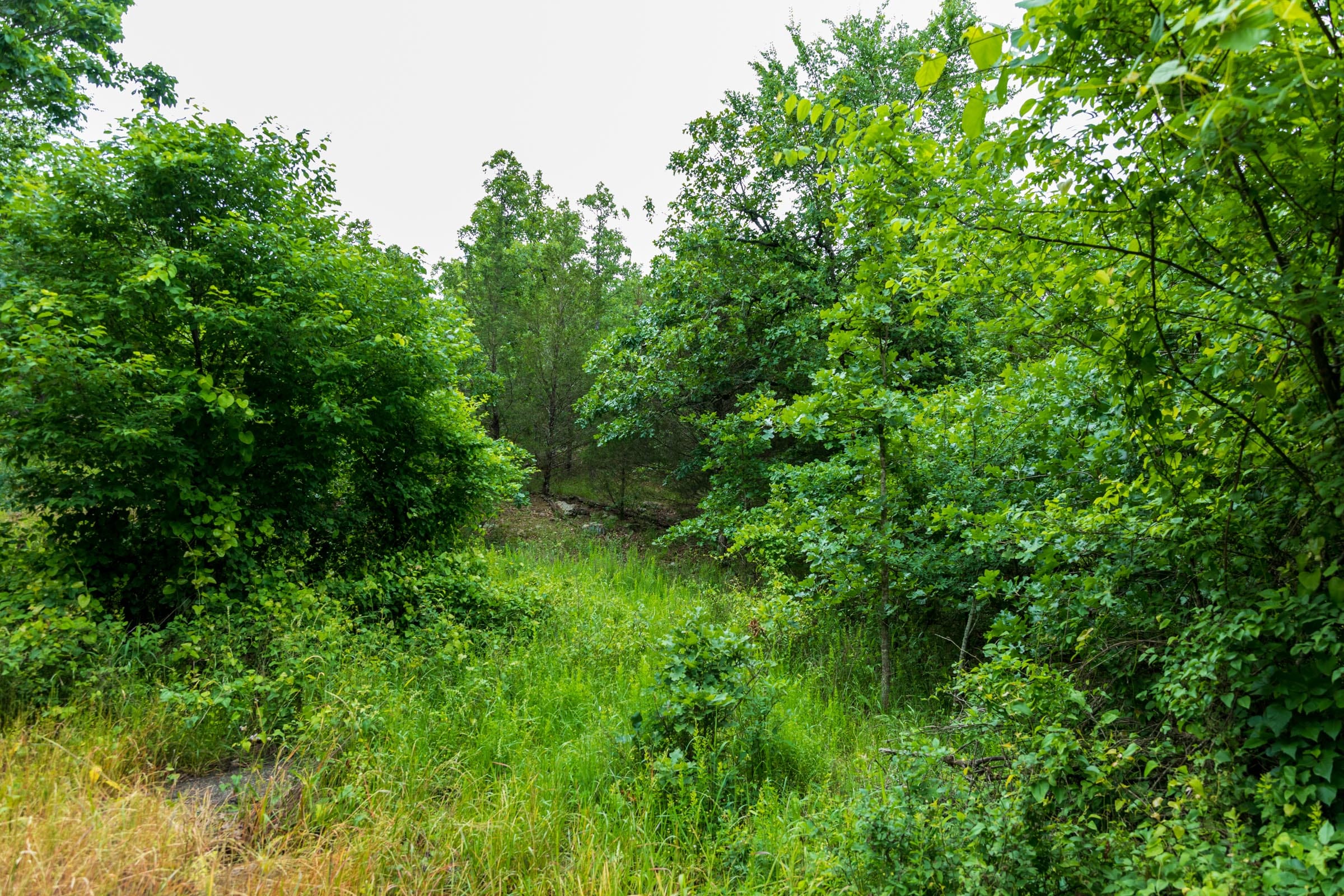 Falcon Crest Tract 1 photo 22