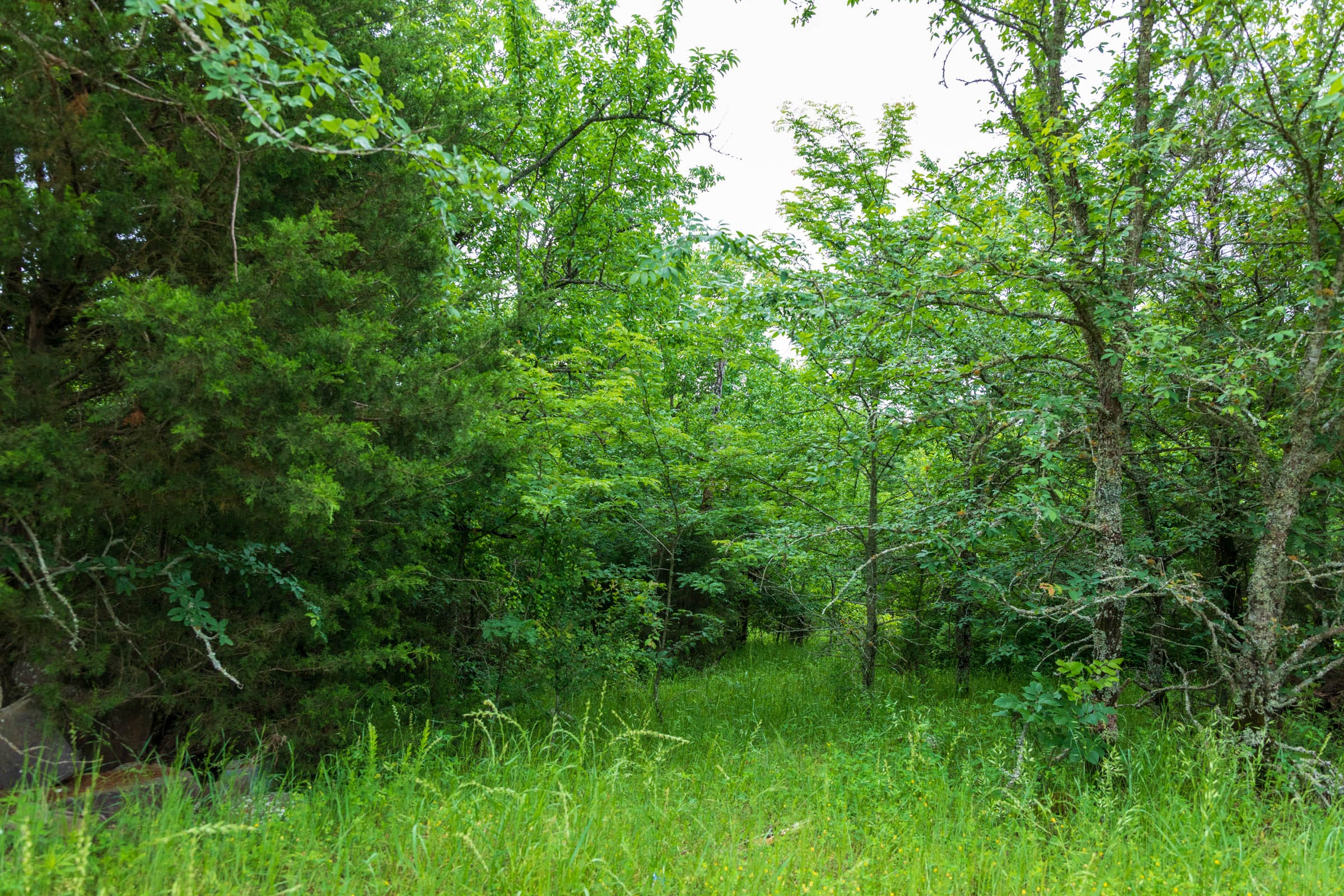 Falcon Crest Tract 1 photo 23