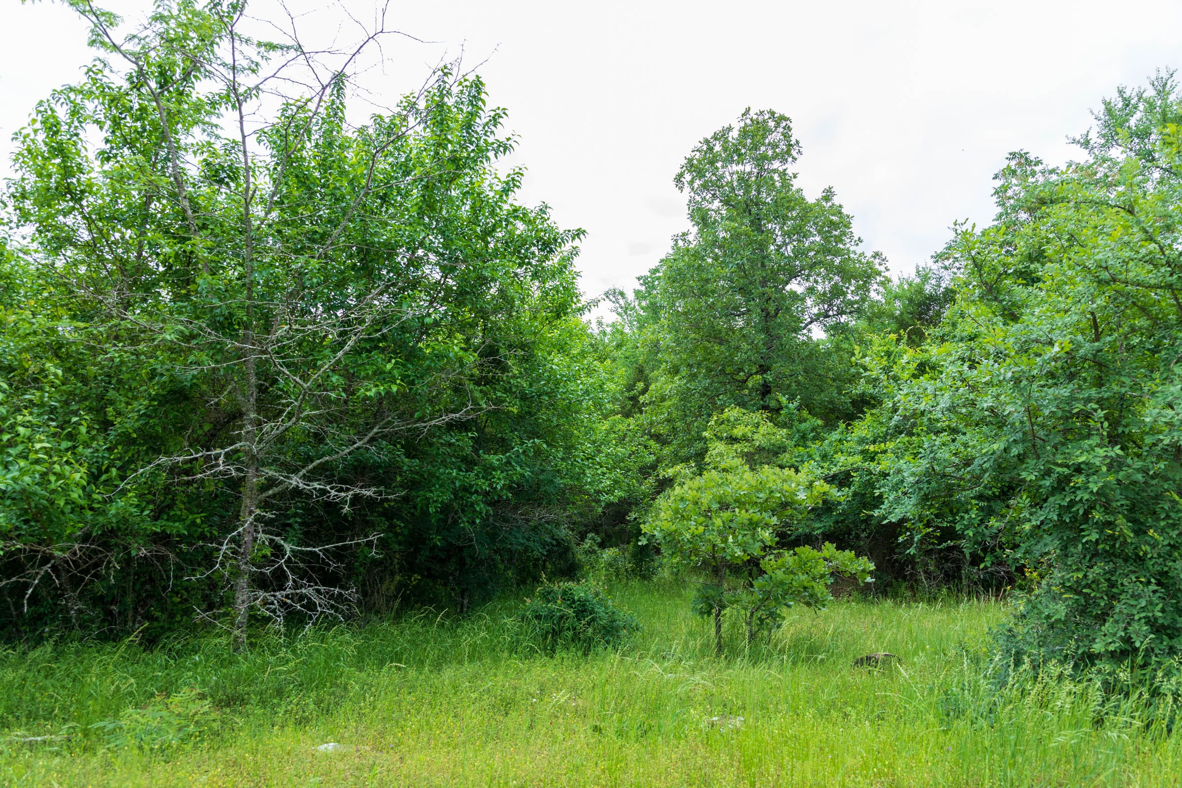 Falcon Crest Tract 1 photo 25