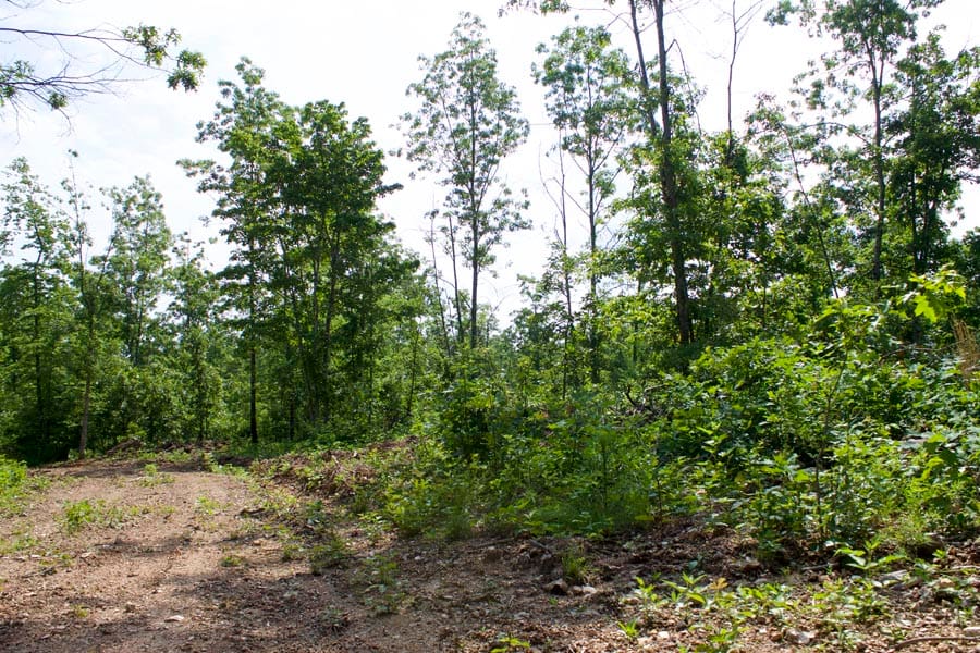 Thunder Mountain Ranch Tract 22 photo 1
