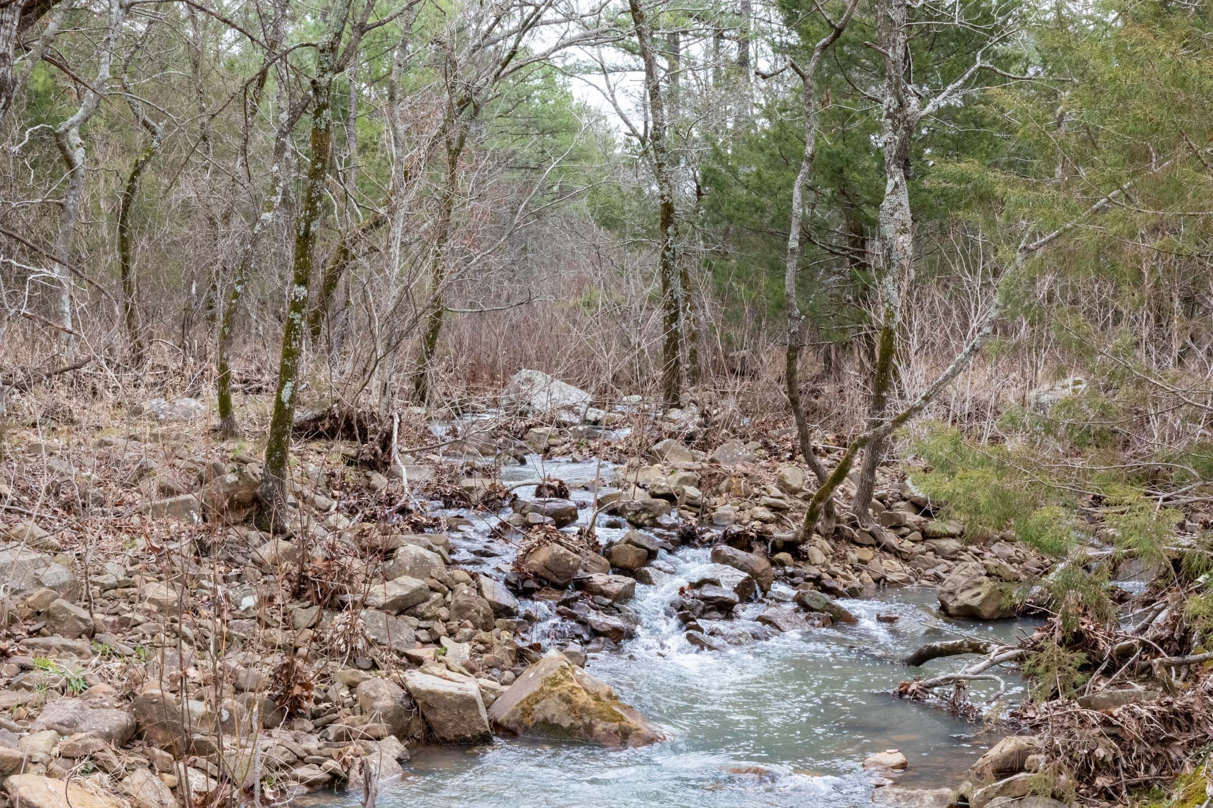 Stone Bridge Phase III Tract 192 photo 3