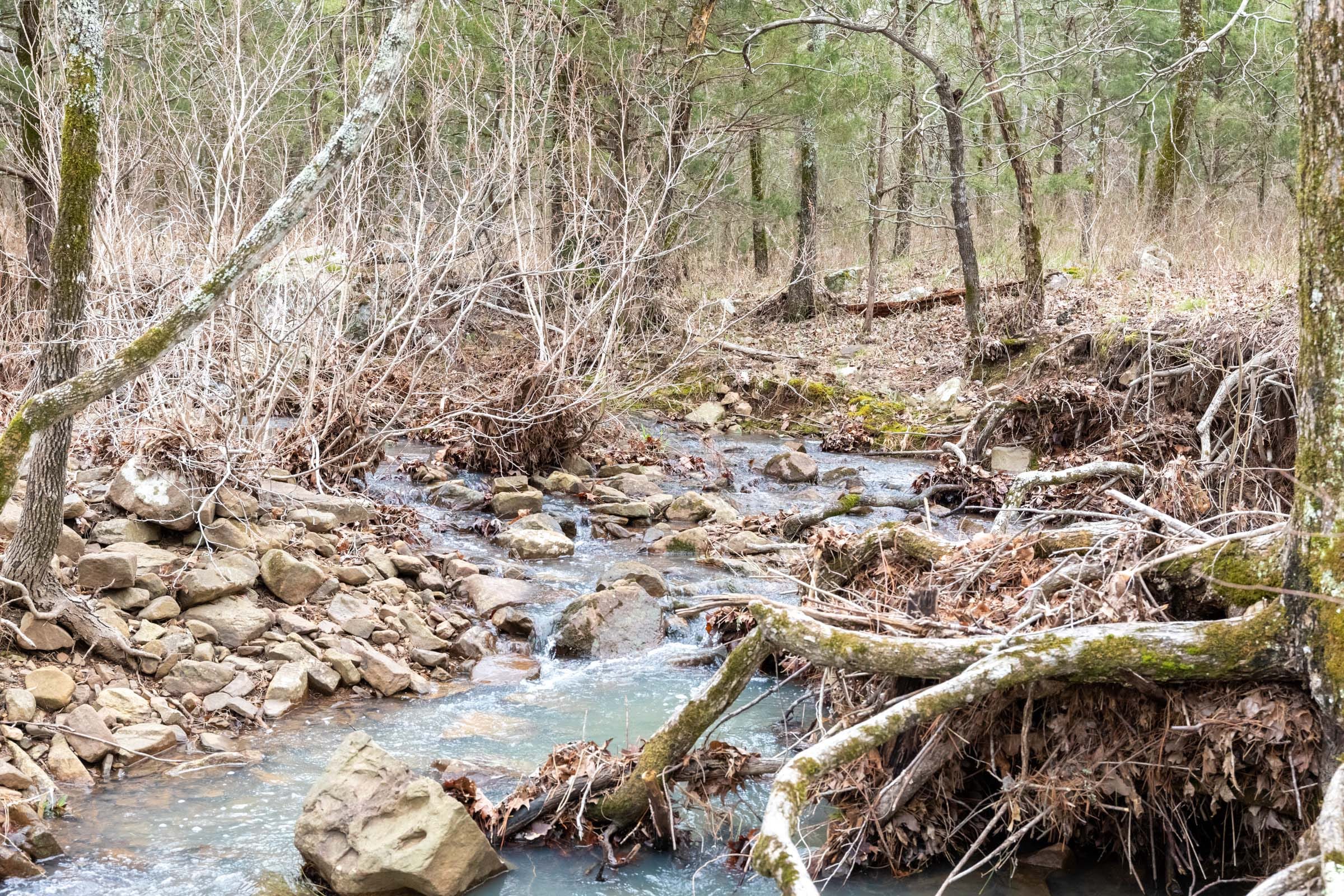 Stone Bridge Phase III Tract 192 photo 4