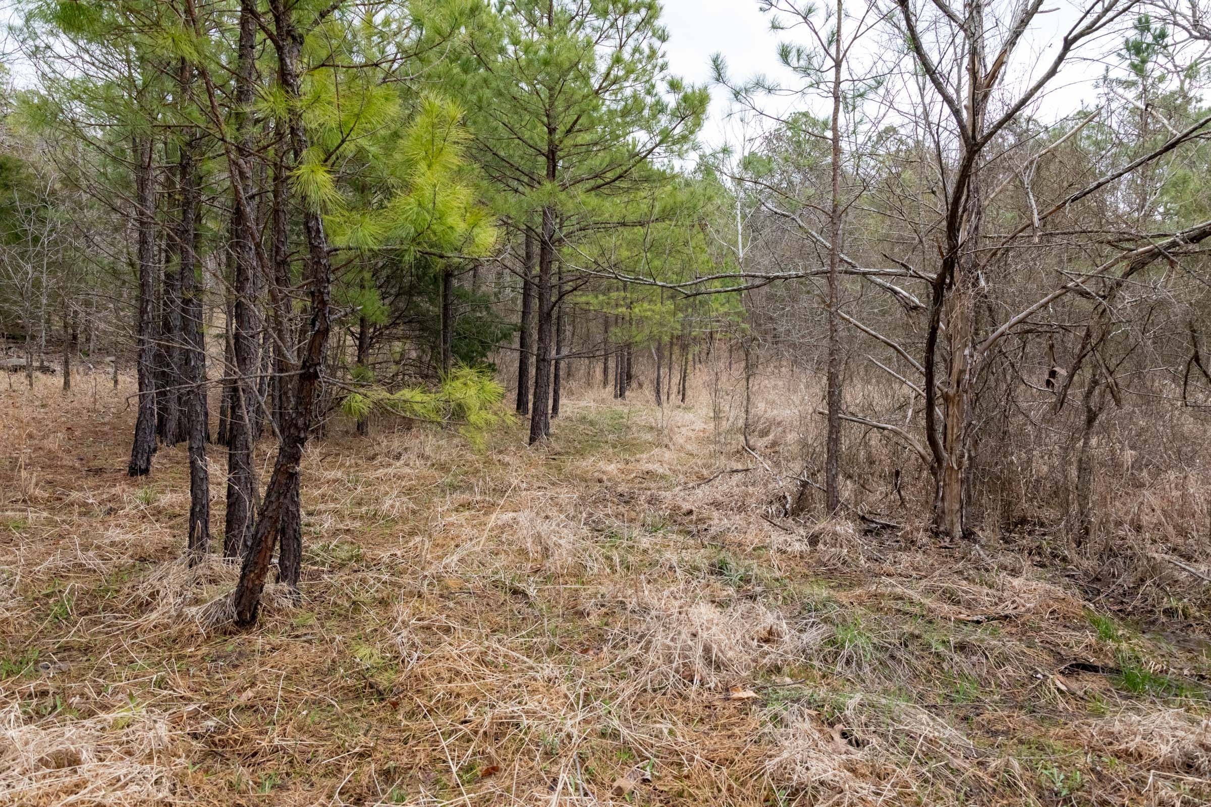 Stone Bridge Phase III Tract 192 photo 8