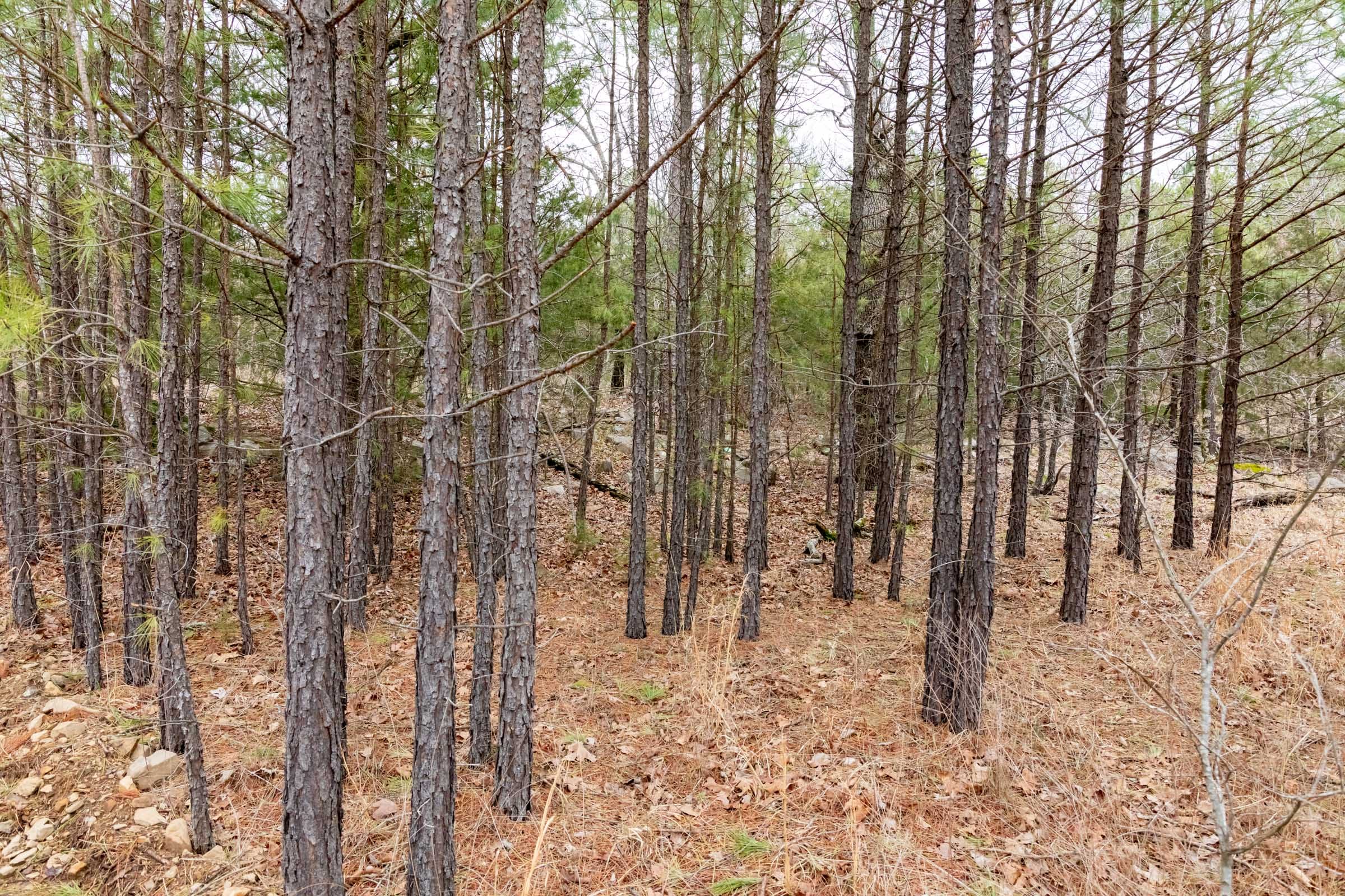 Stone Bridge Phase III Tract 192 photo 9