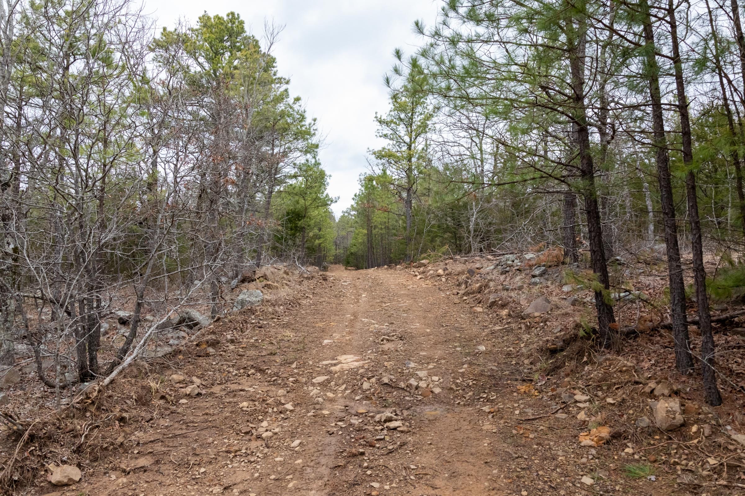 Stone Bridge Phase III Tract 192 photo 1