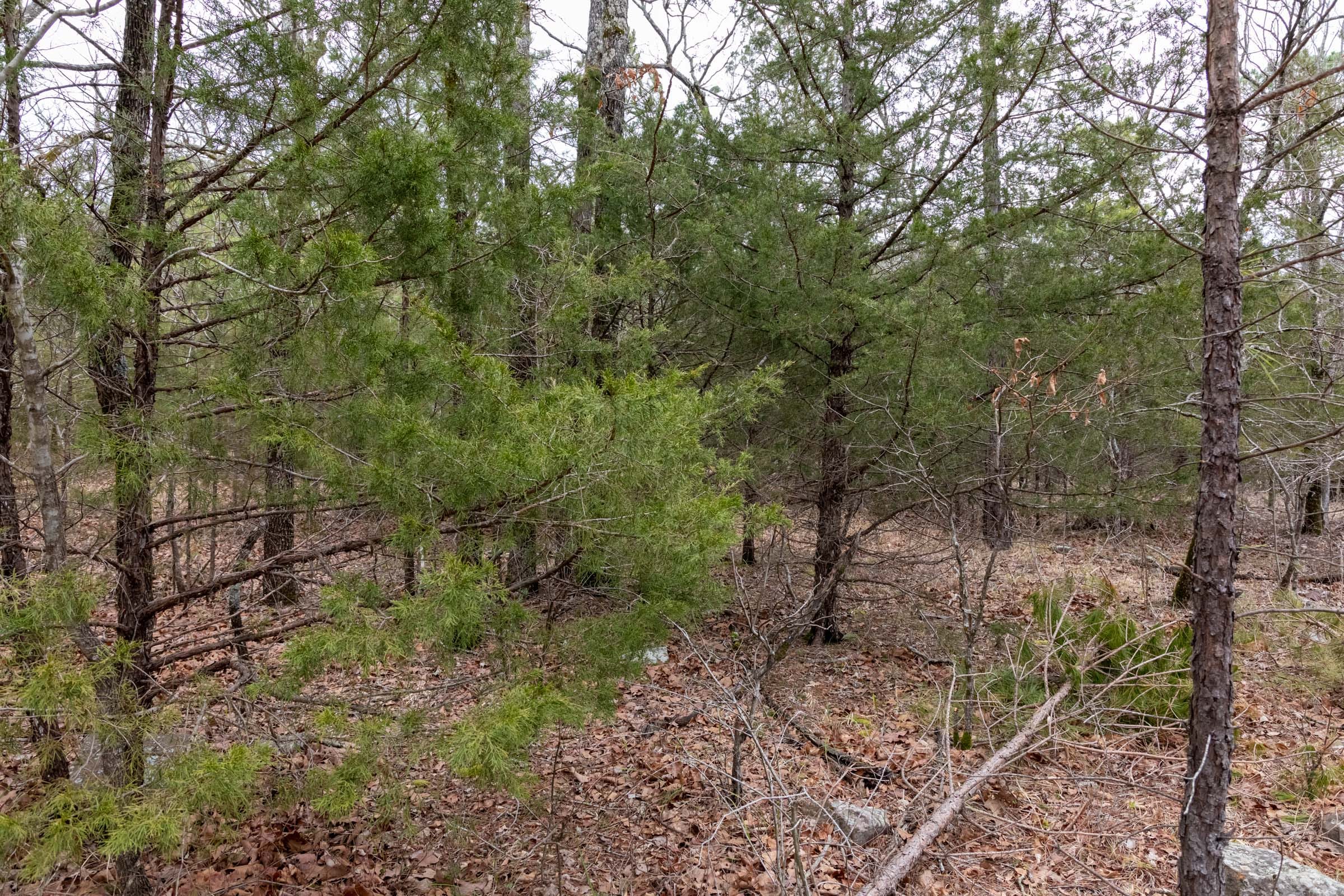 Stone Bridge Phase III Tract 192 photo 10