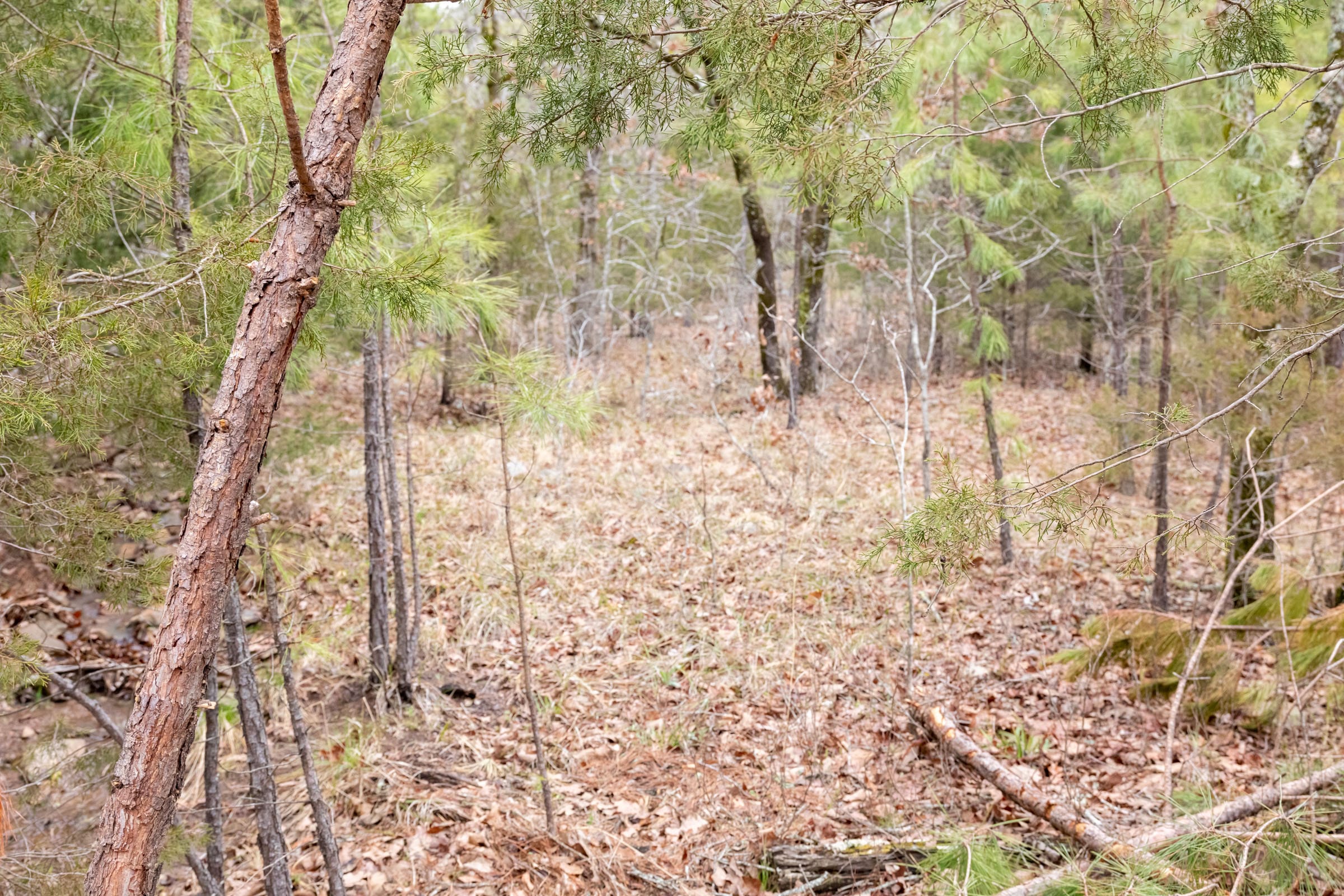 Stone Bridge Phase III Tract 192 photo 12