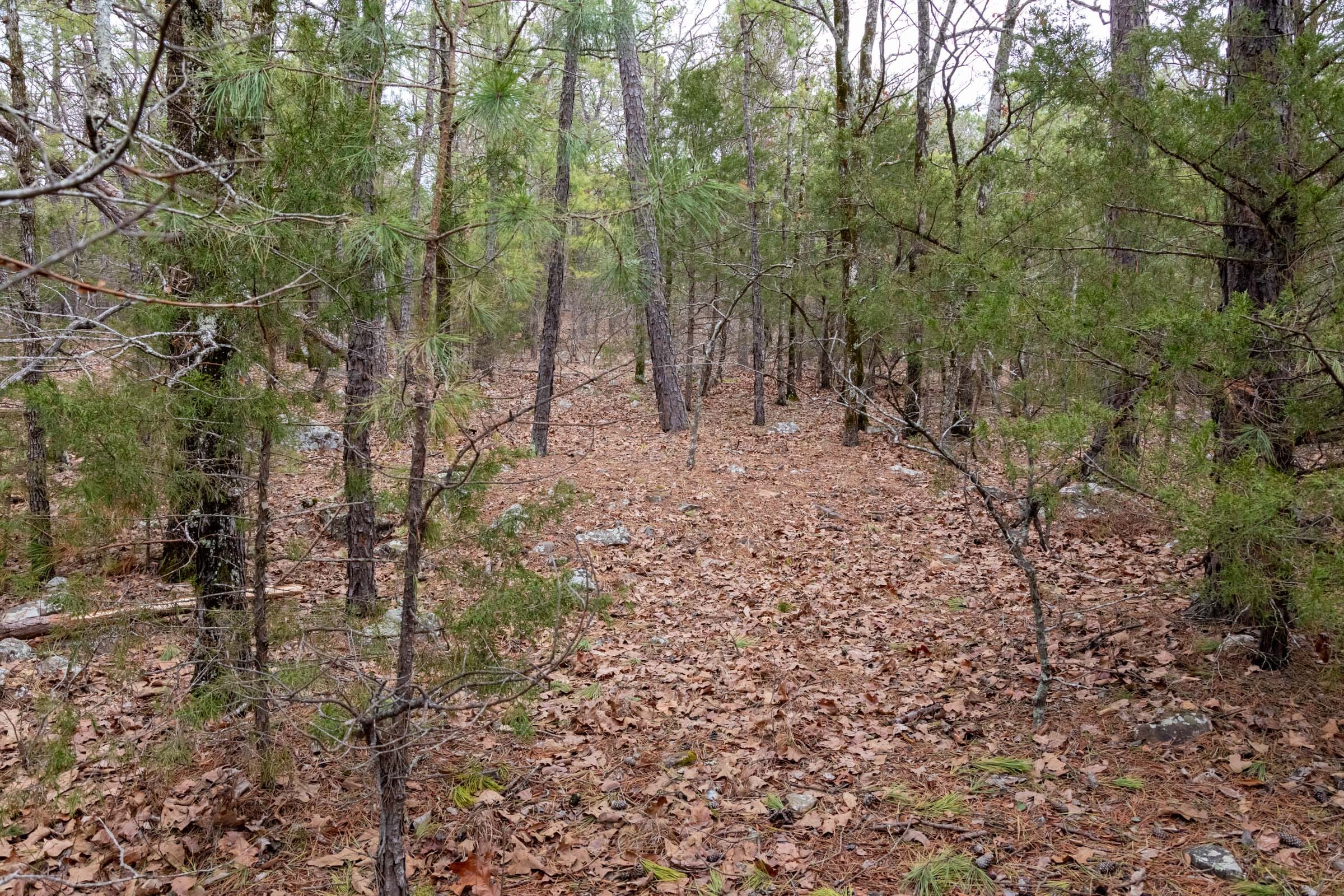 Stone Bridge Phase III Tract 192 photo 13