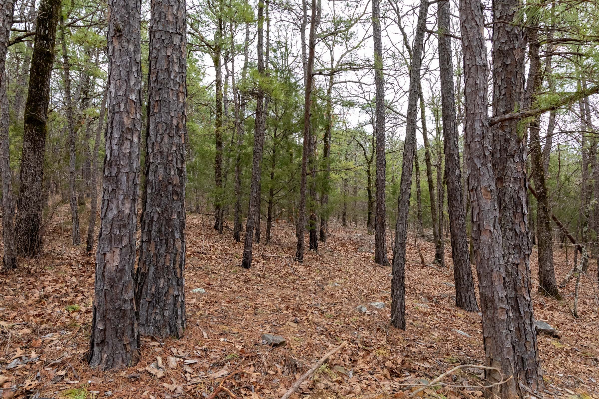Stone Bridge Phase III Tract 192 photo 14